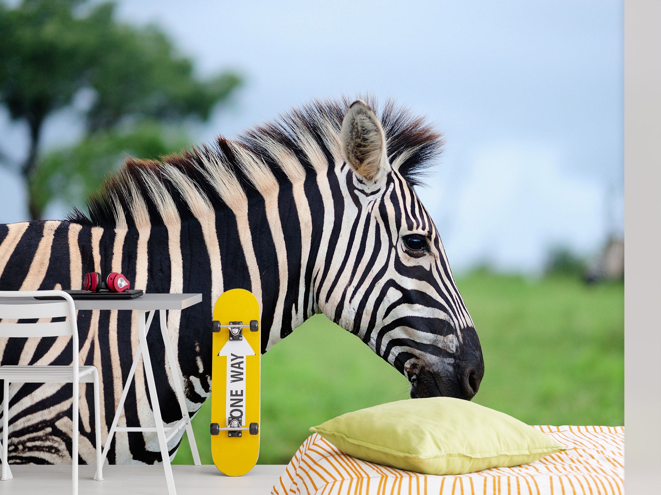 3D Zebra 57117 Wall Murals