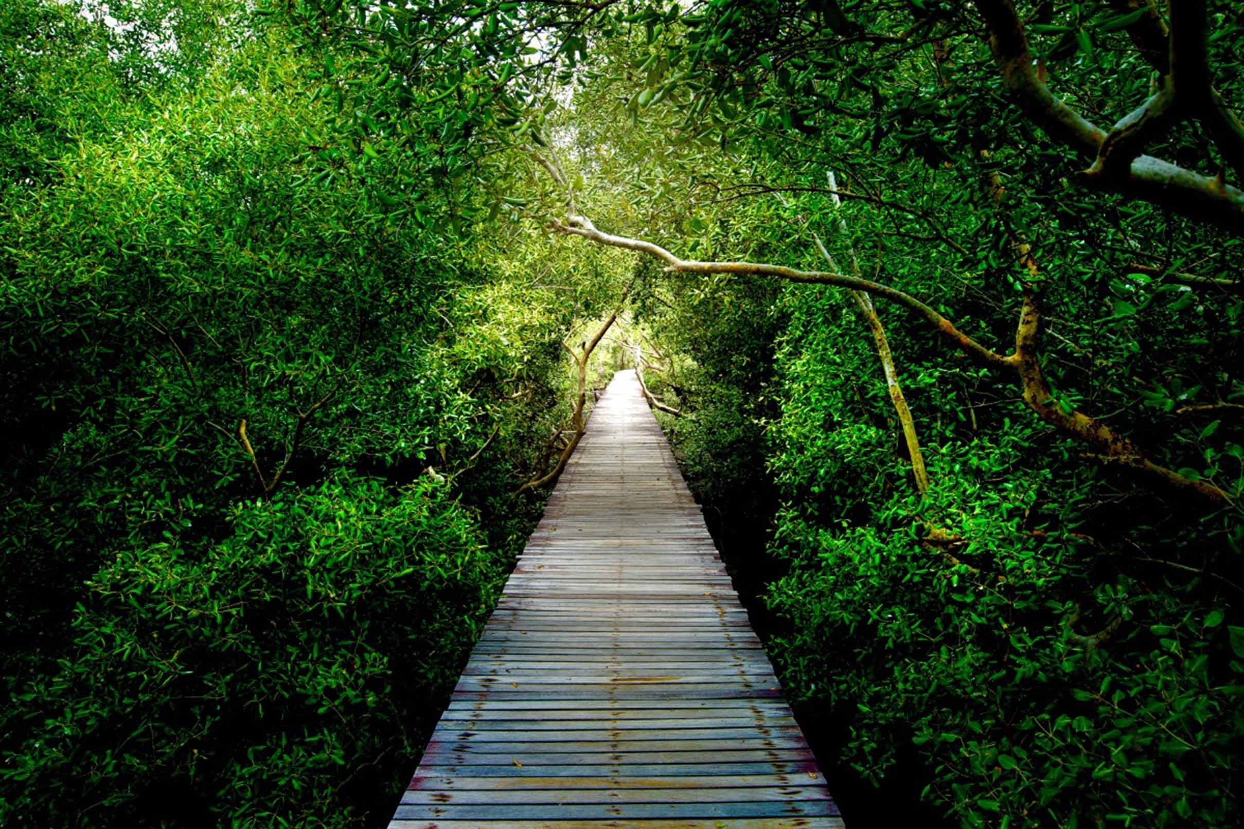 3D Forest Wood Road 401 Garage Door Mural Wallpaper AJ Wallpaper