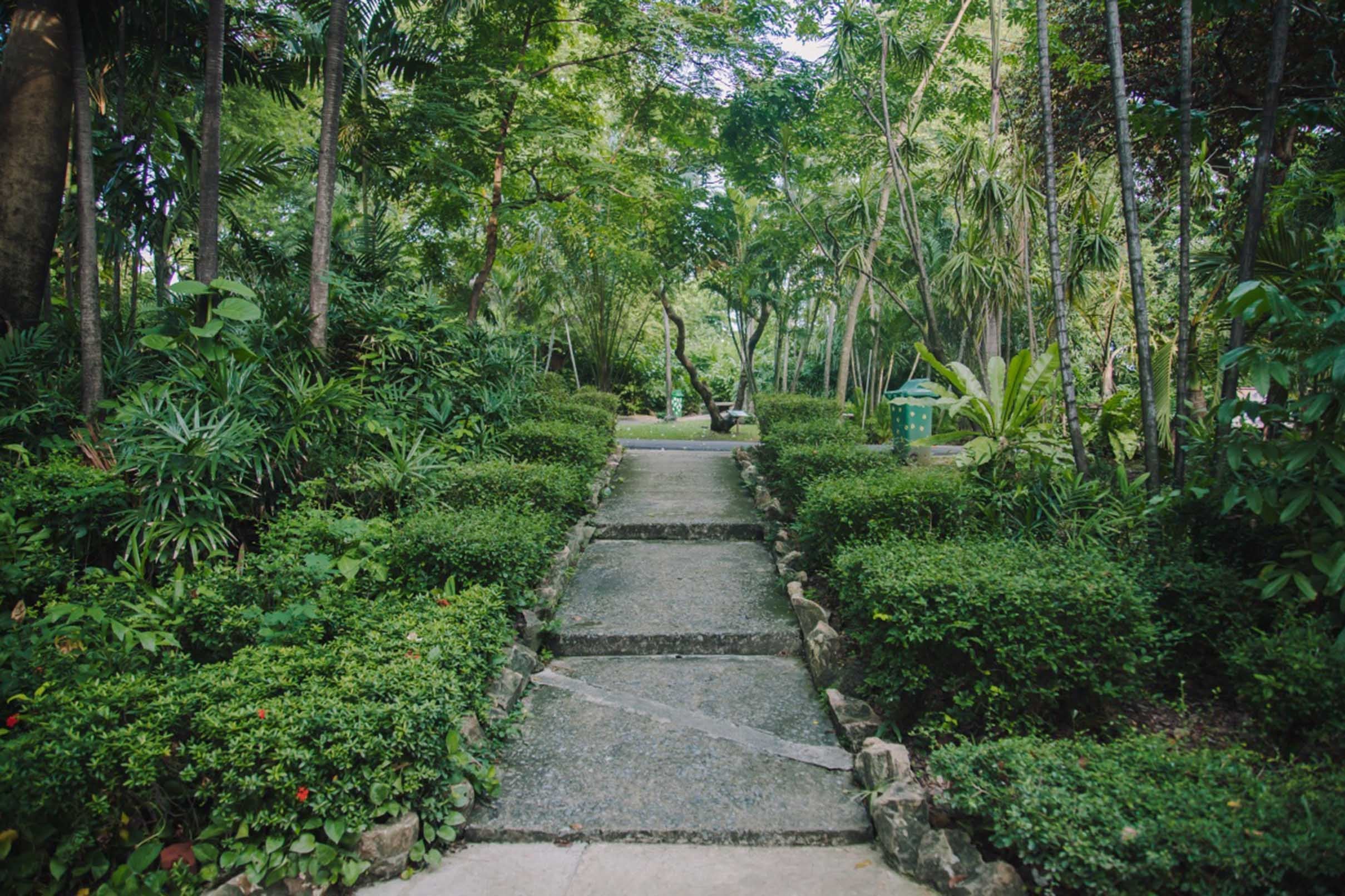 3D Green Park Scenery 20 Garage Door Mural Wallpaper AJ Wallpaper