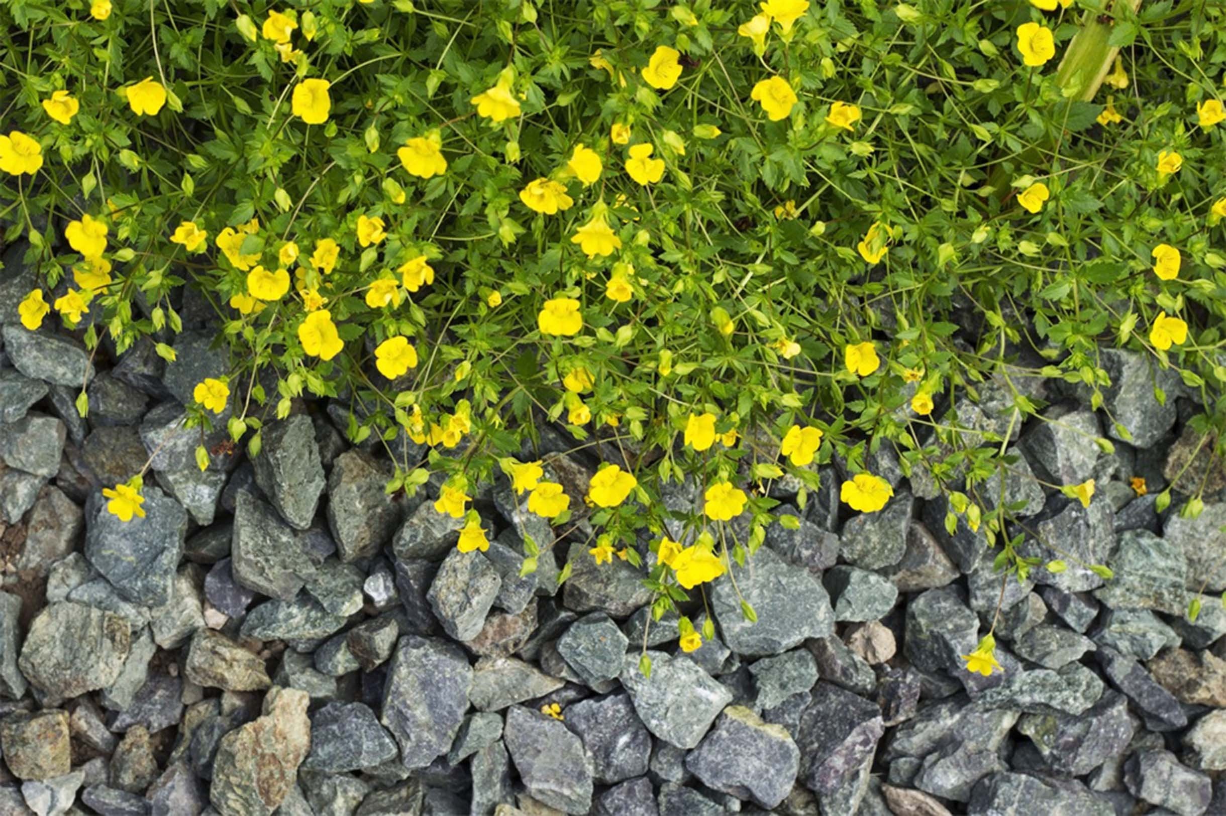 3D Flowers Stones 400 Garage Door Mural Wallpaper AJ Wallpaper