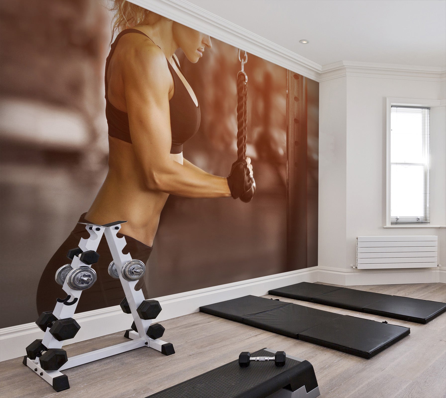 3D Muscle Girl 265 Wall Murals