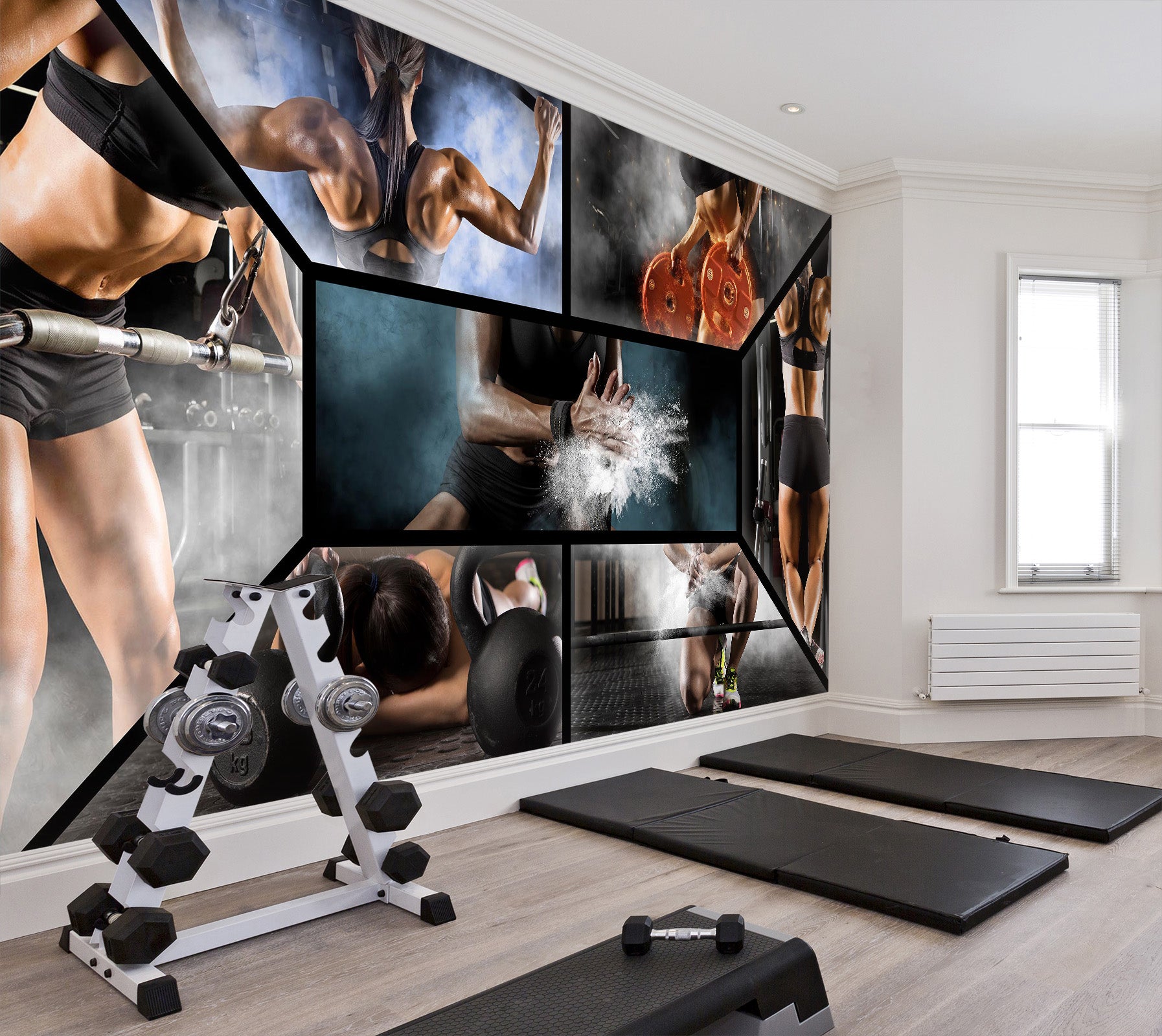 3D Crazy Fitness 309 Wall Murals