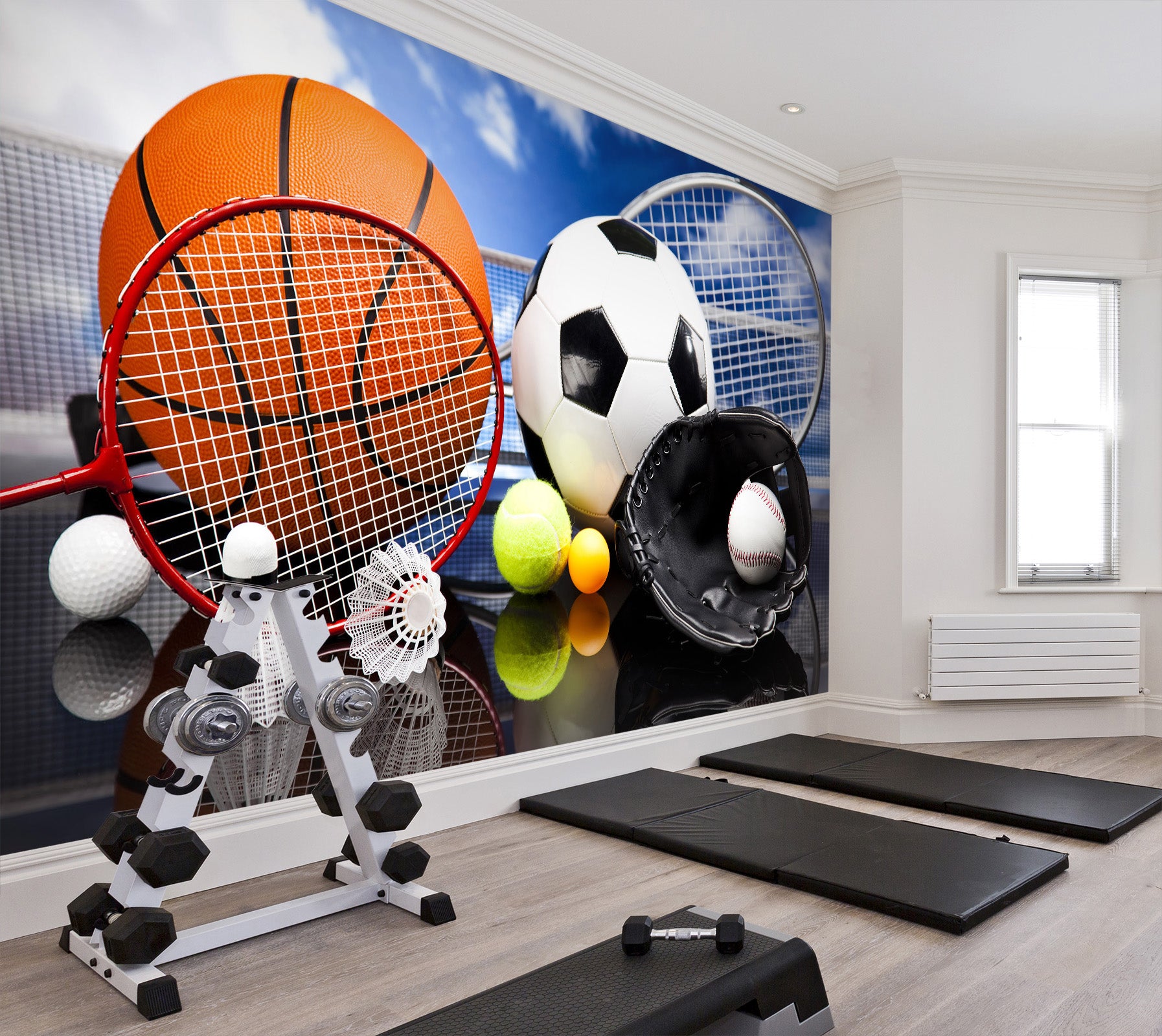 3D Ball Sports 250 Wall Murals