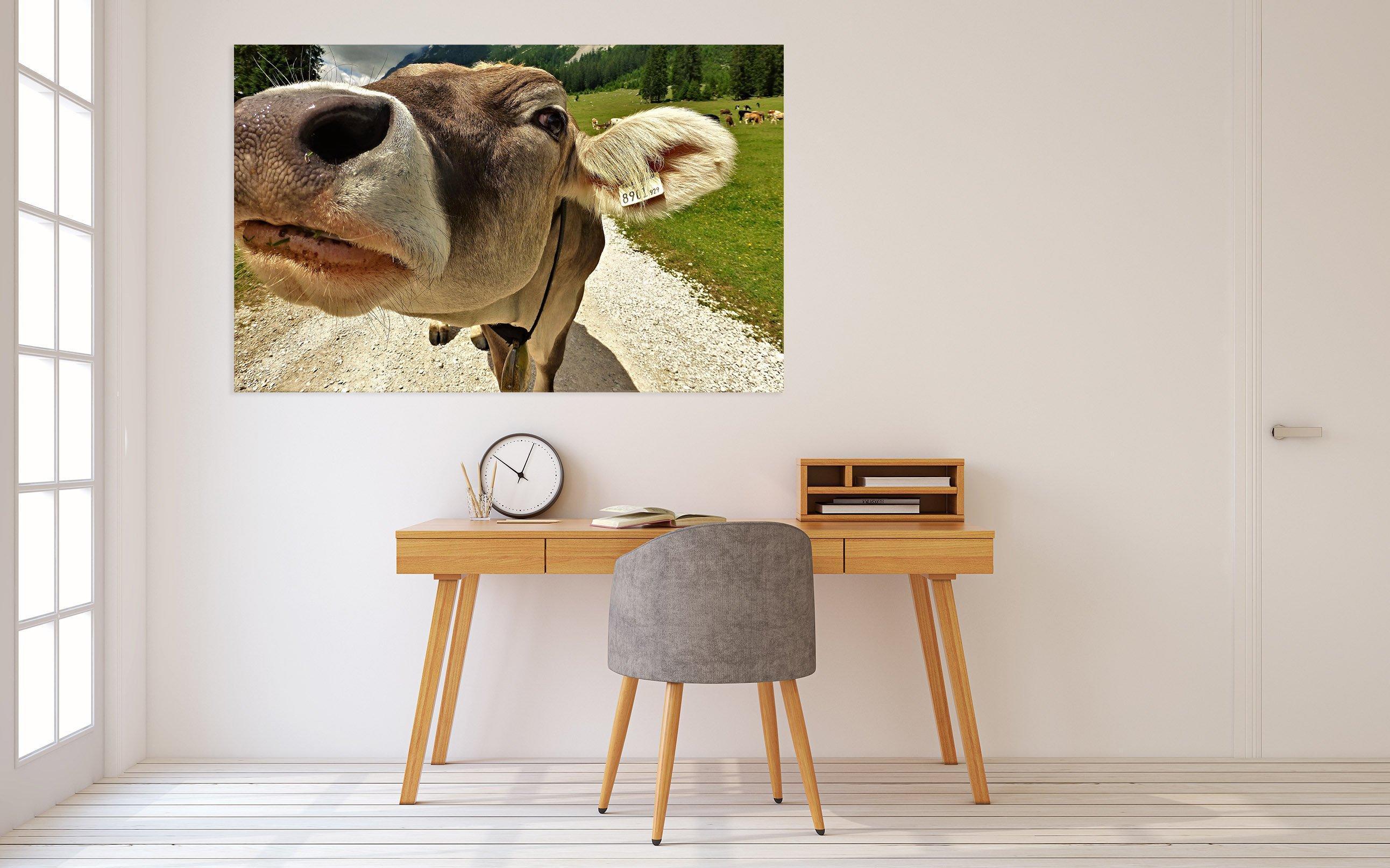 3D Bull Nose 41 Animal Wall Stickers Wallpaper AJ Wallpaper 2