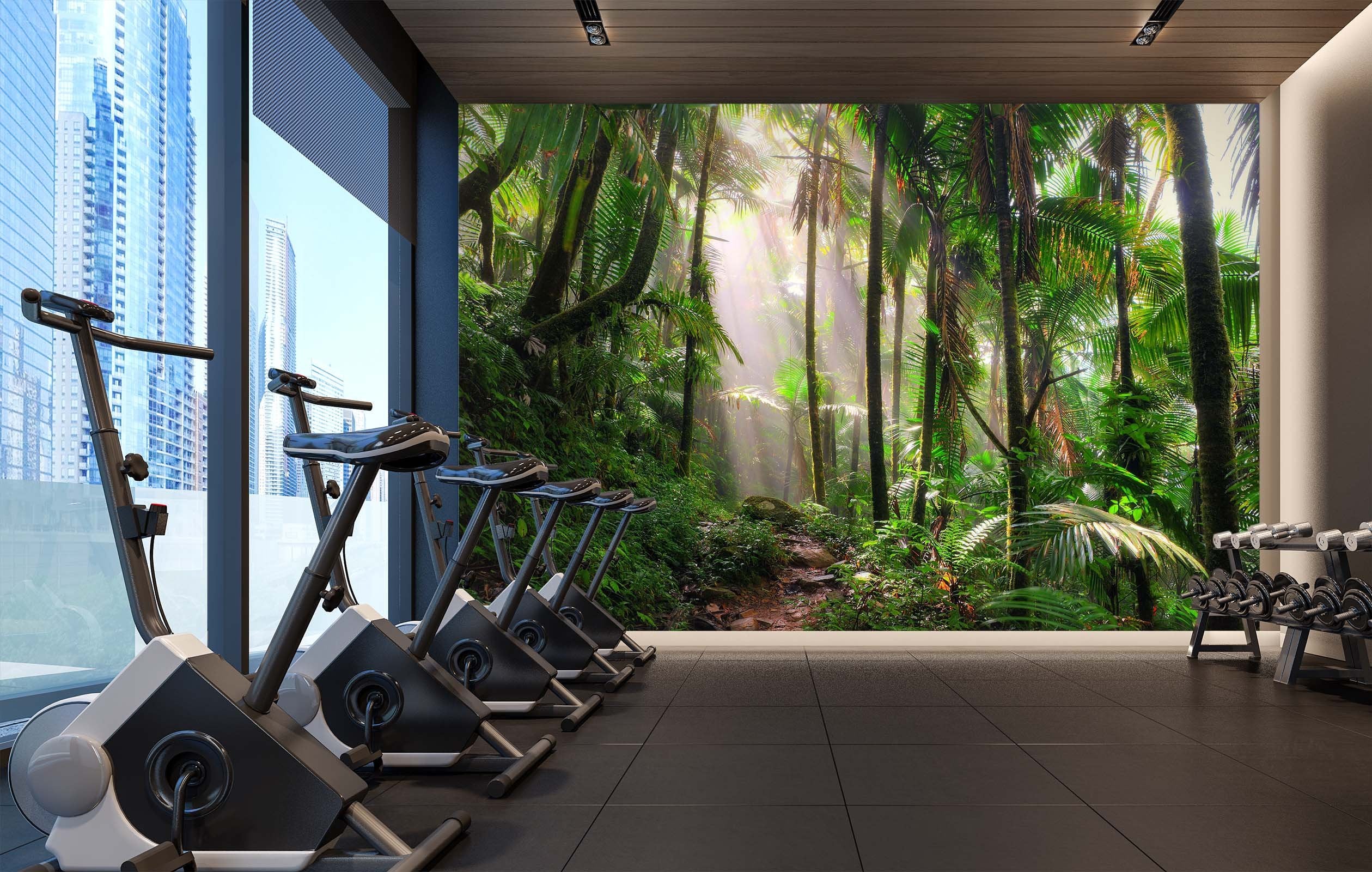 3D sunshine with rain forest 26 Wall Murals Wallpaper AJ Wallpaper