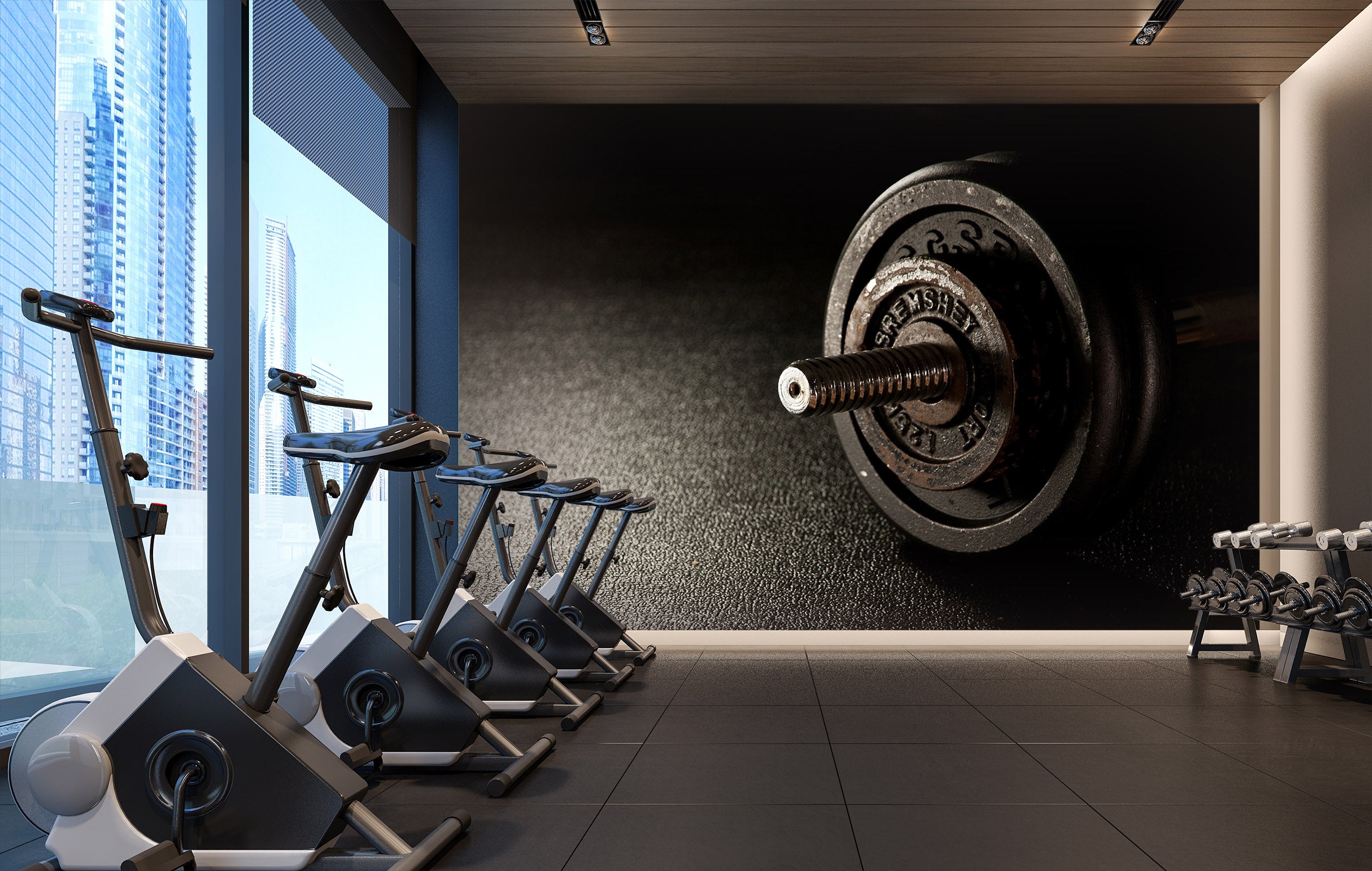 3D Dumbbell 206 Wall Murals