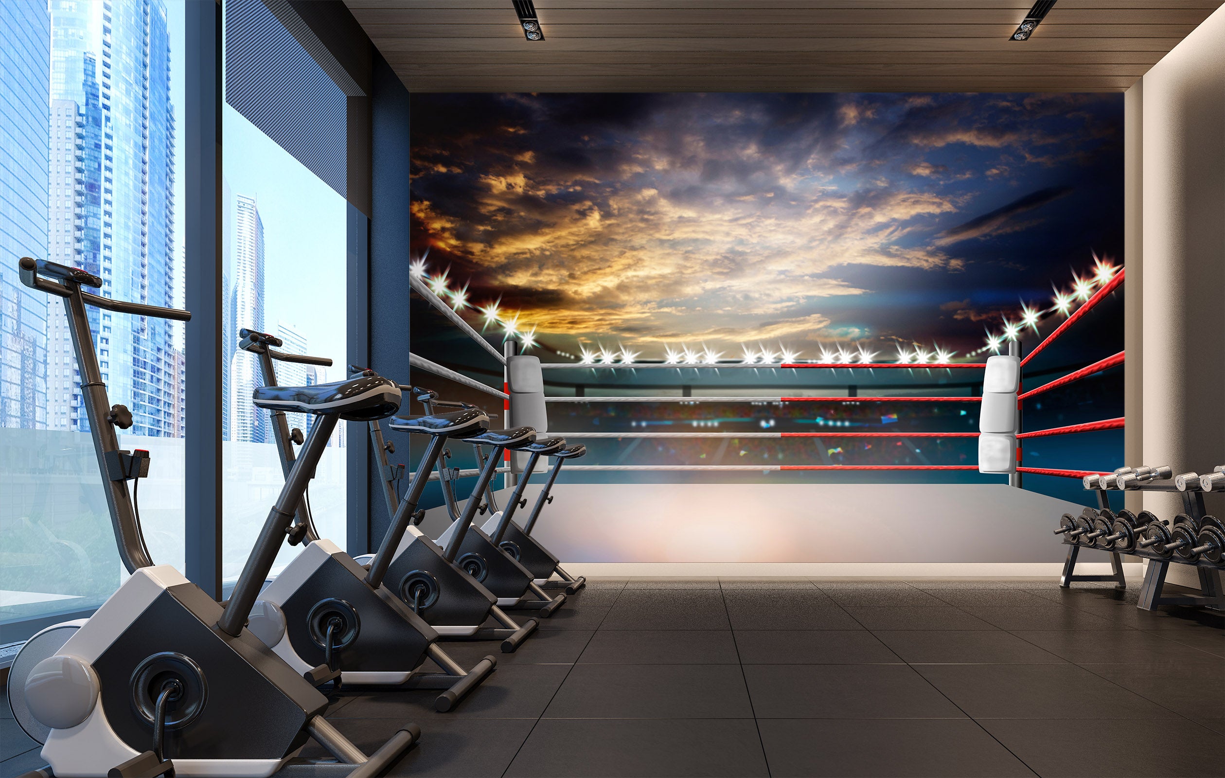 3D Sunset Sky 294 Wall Murals