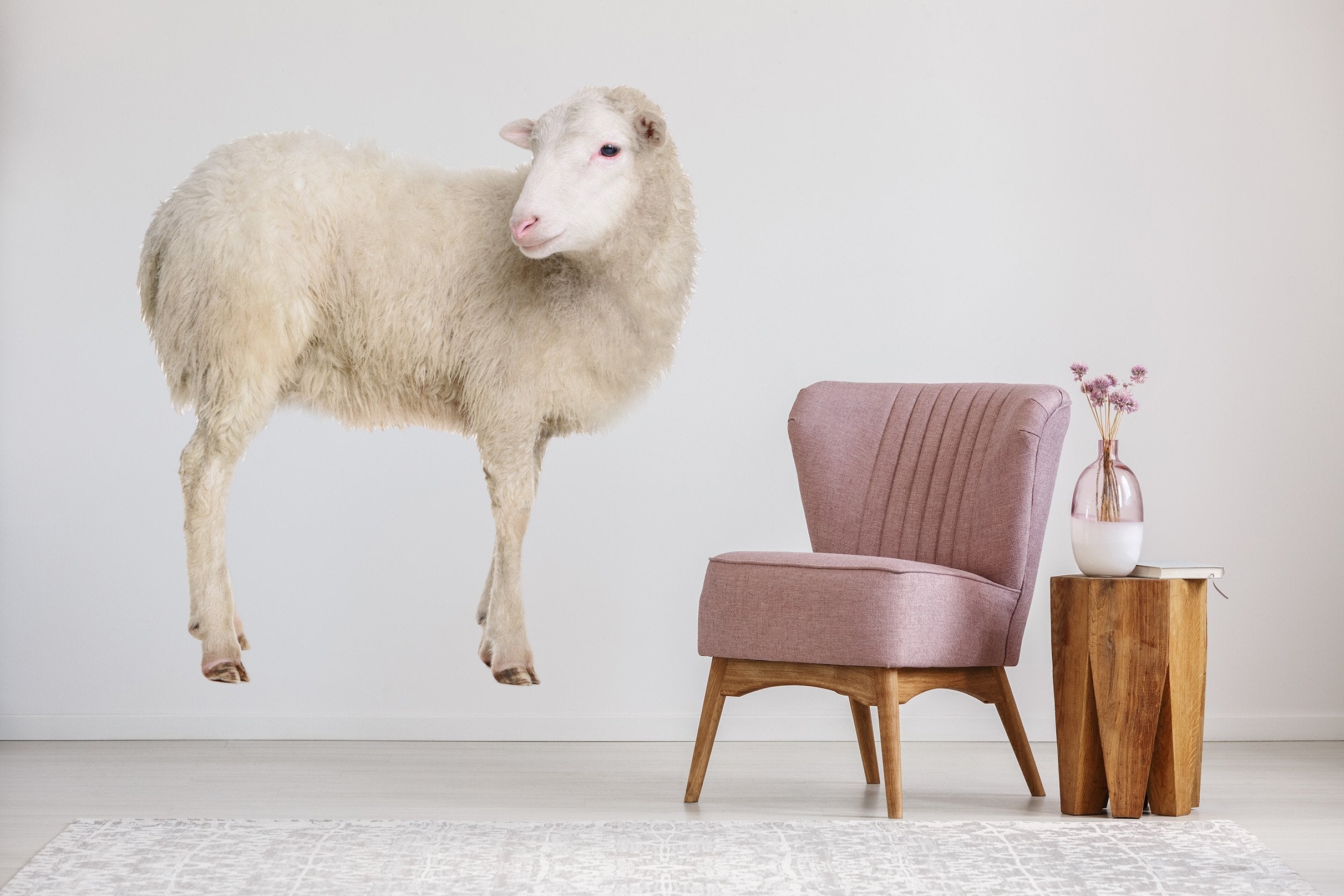 3D Sheep Turning Head 099 Animals Wall Stickers Wallpaper AJ Wallpaper