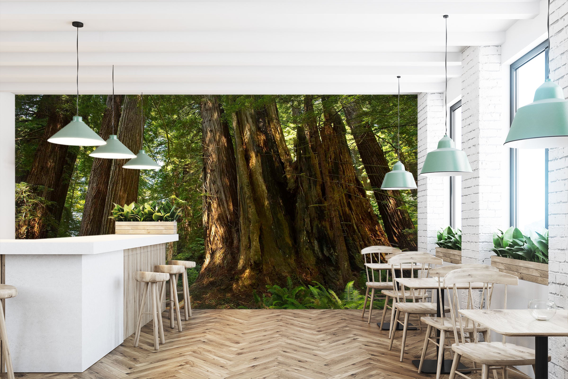 3D Moriyama Old Forest 123 Kathy Barefield Wall Mural Wall Murals