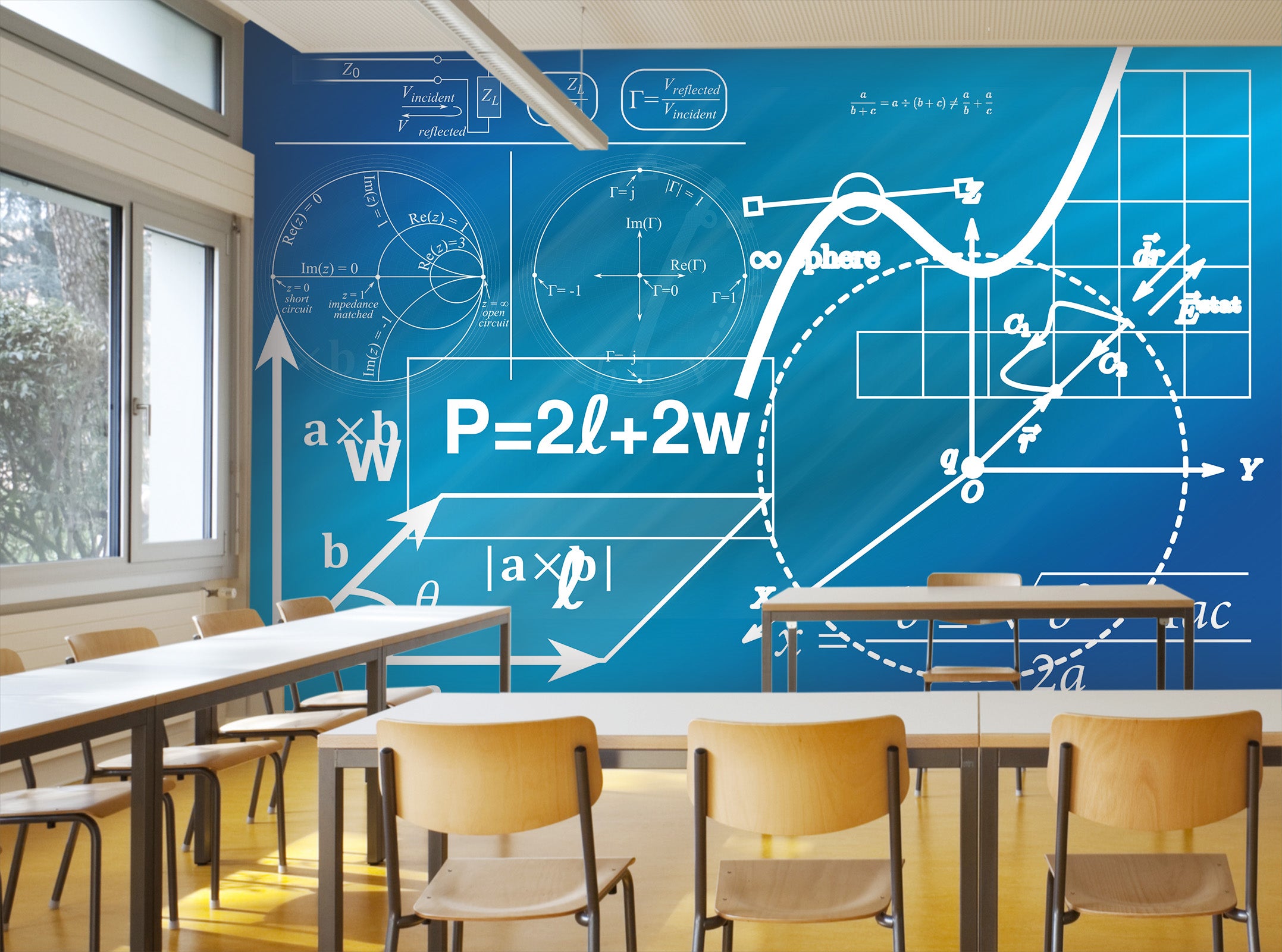 3D Maths Formula 158 Wall Murals