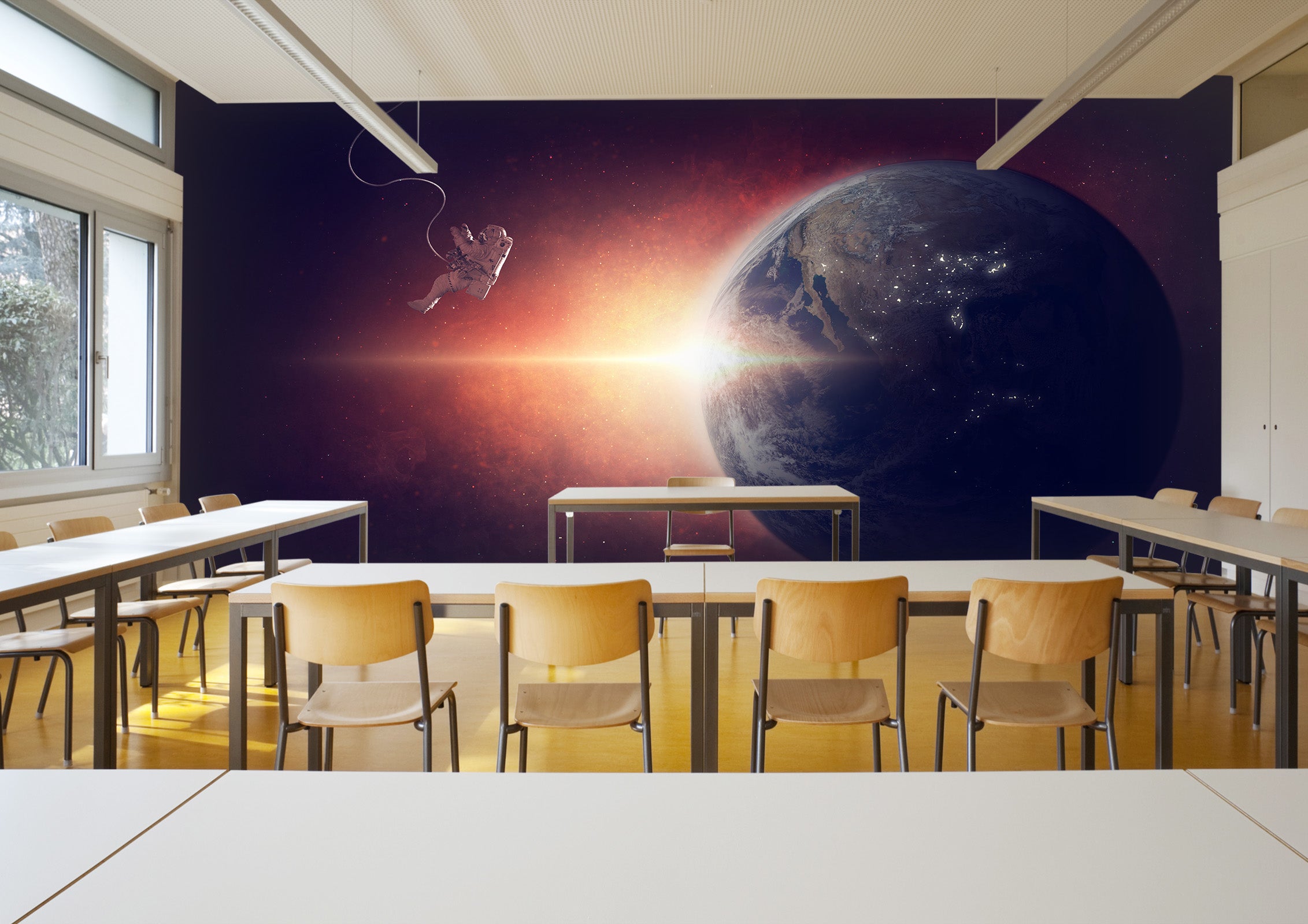 3D Astronaut Earth 134 Wall Murals