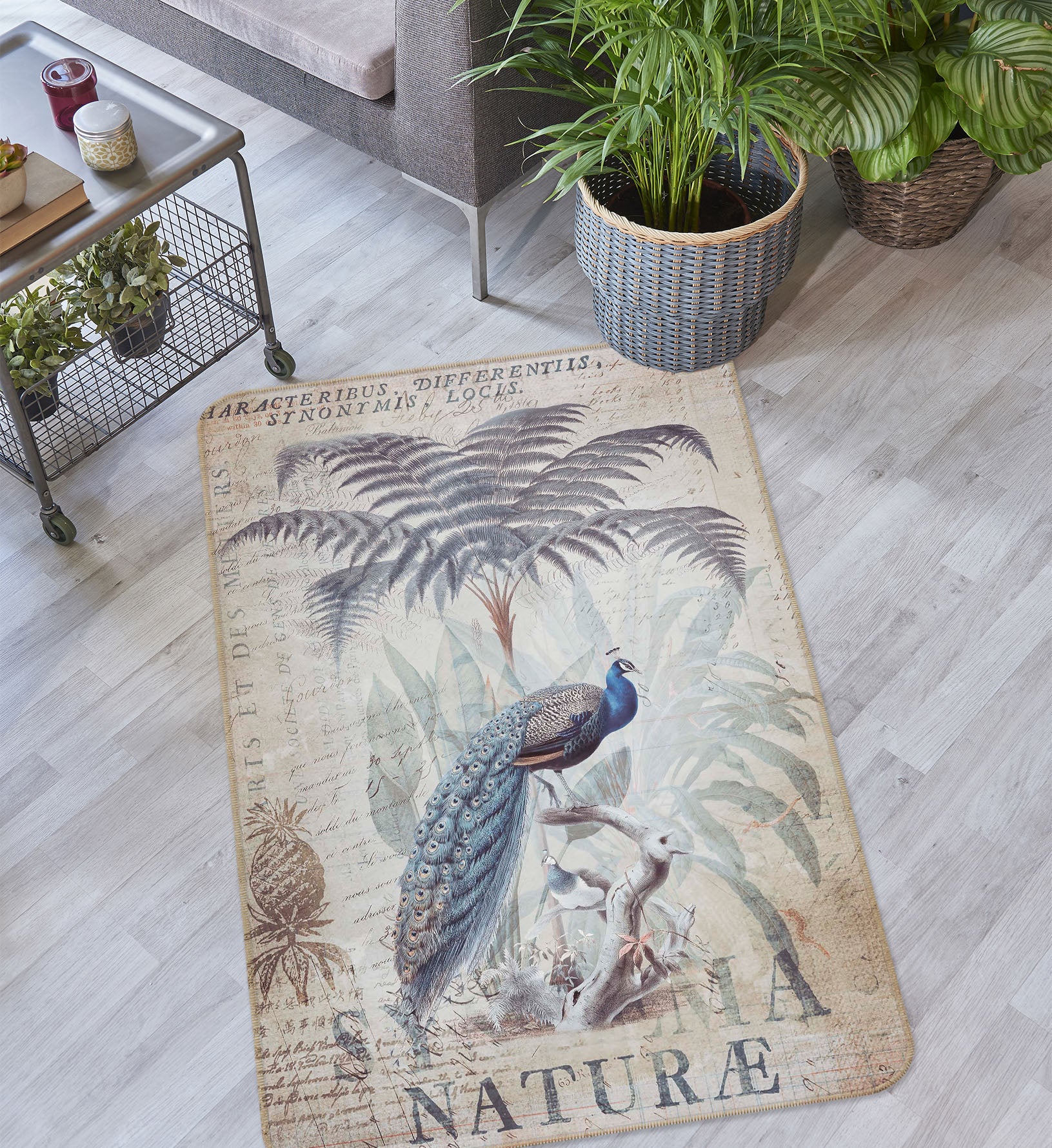 3D Cute Peacock 1029 Andrea haase Rug Non Slip Rug Mat