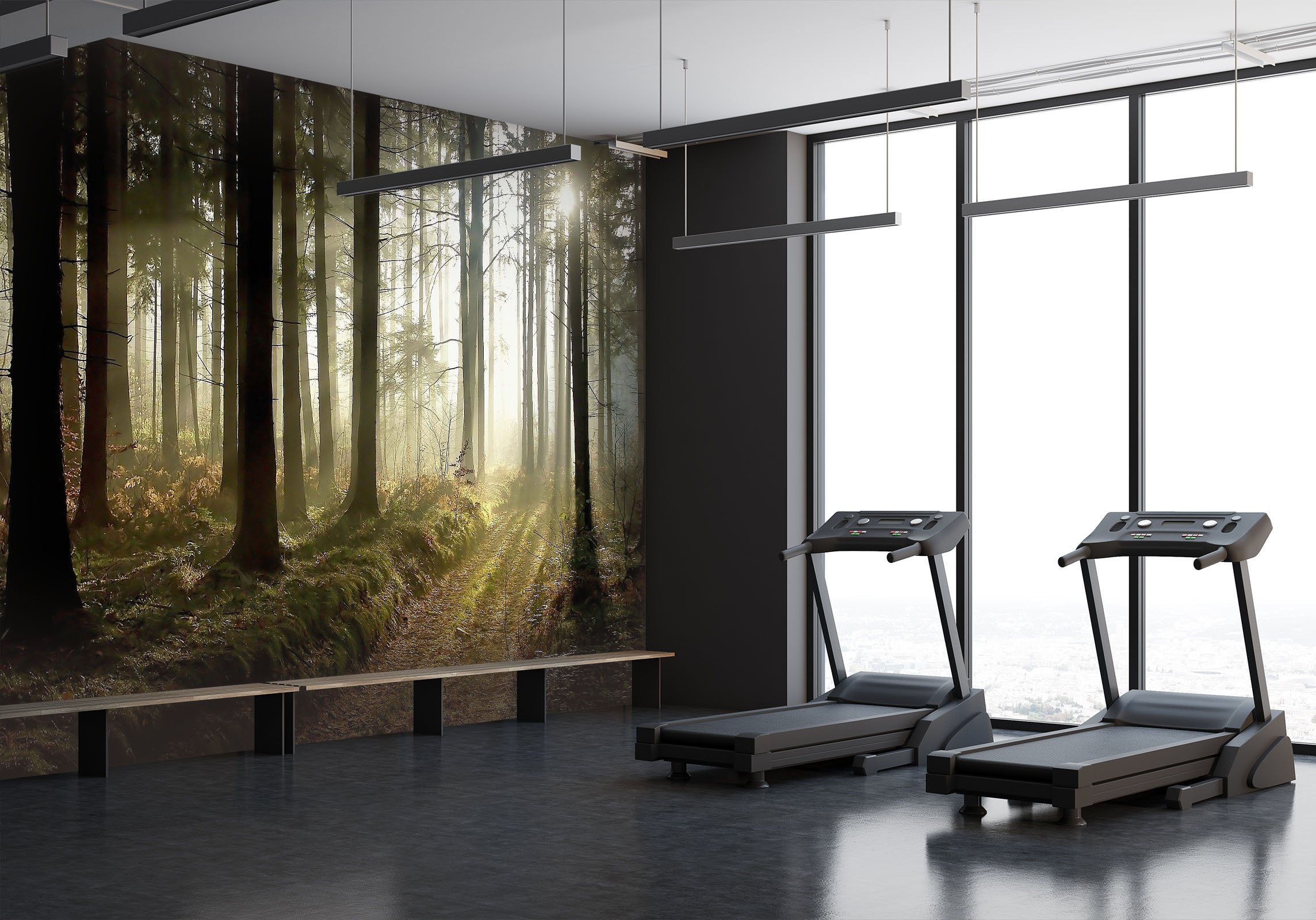 3D sunshine in the forest 17 Wall Murals Wallpaper AJ Wallpaper