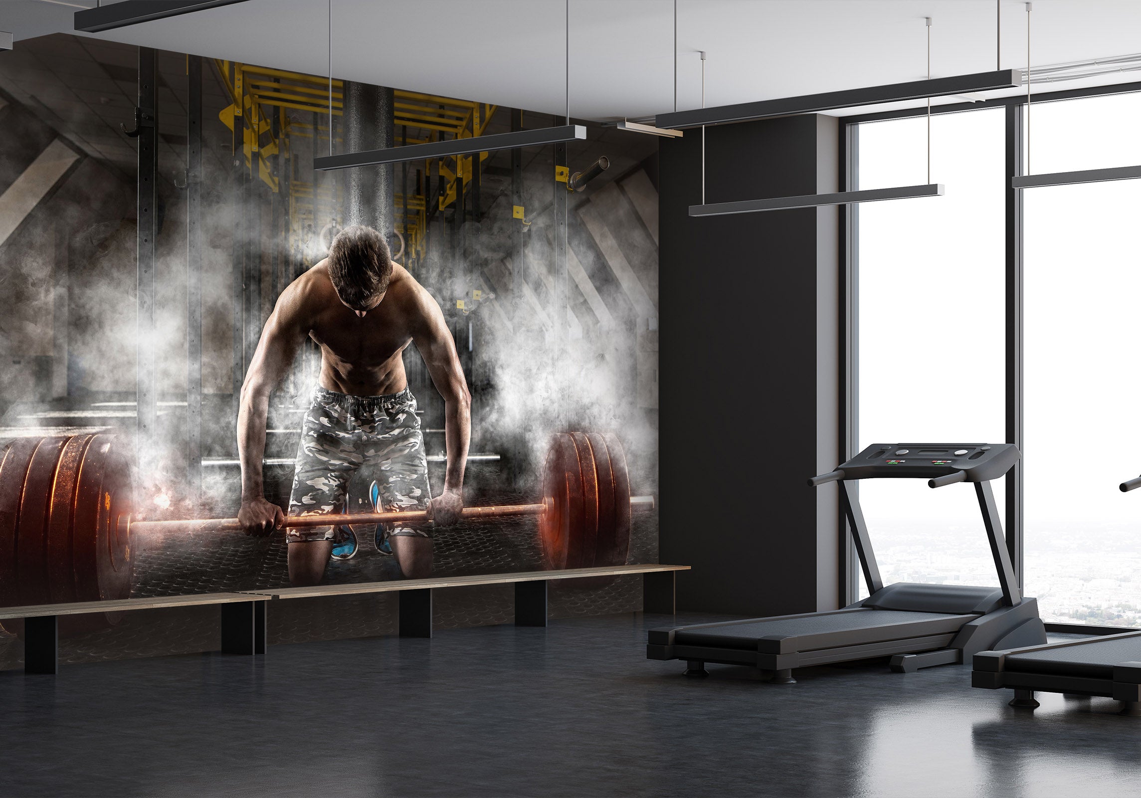 3D Barbell Squat 303 Wall Murals