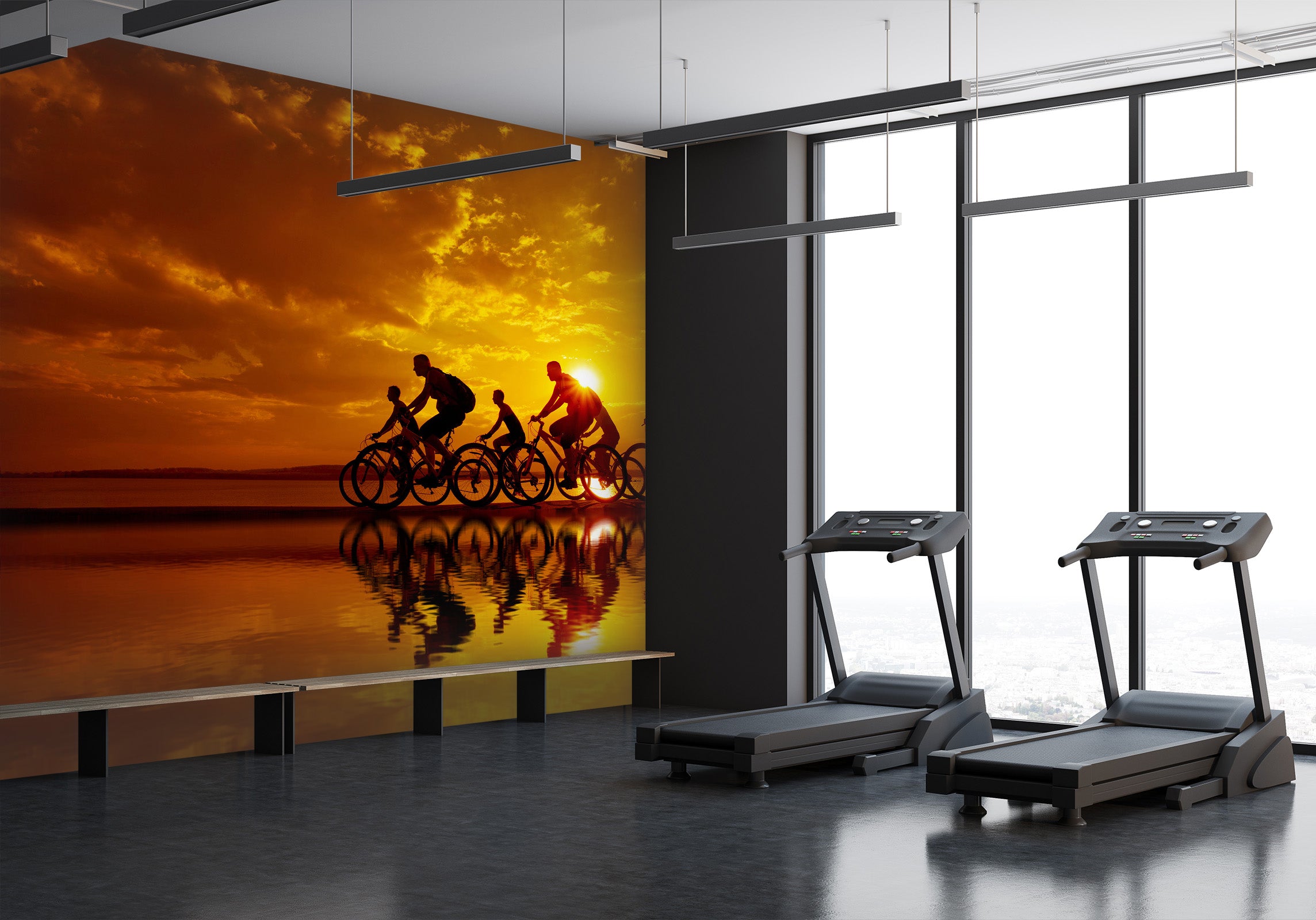 3D Morning Bike Ride 220 Wall Murals
