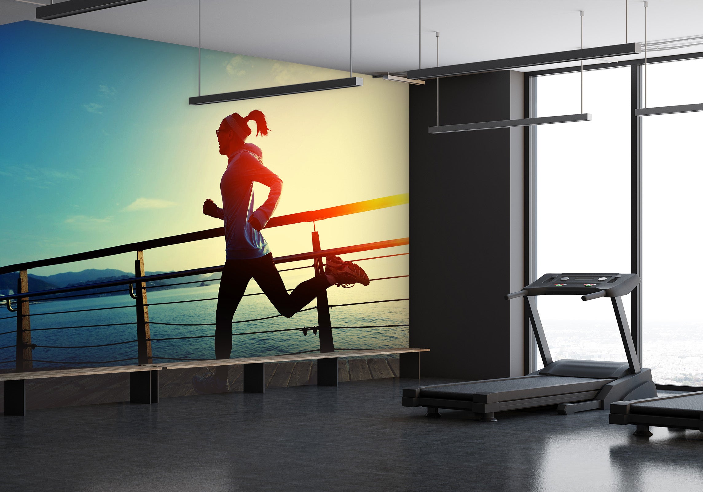 3D Morning Run 254 Wall Murals