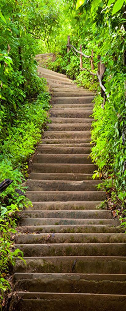 3D stone steps green grass door mural Wallpaper AJ Wallpaper