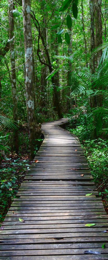 3D forest wooden path 14 door mural Wallpaper AJ Wallpaper