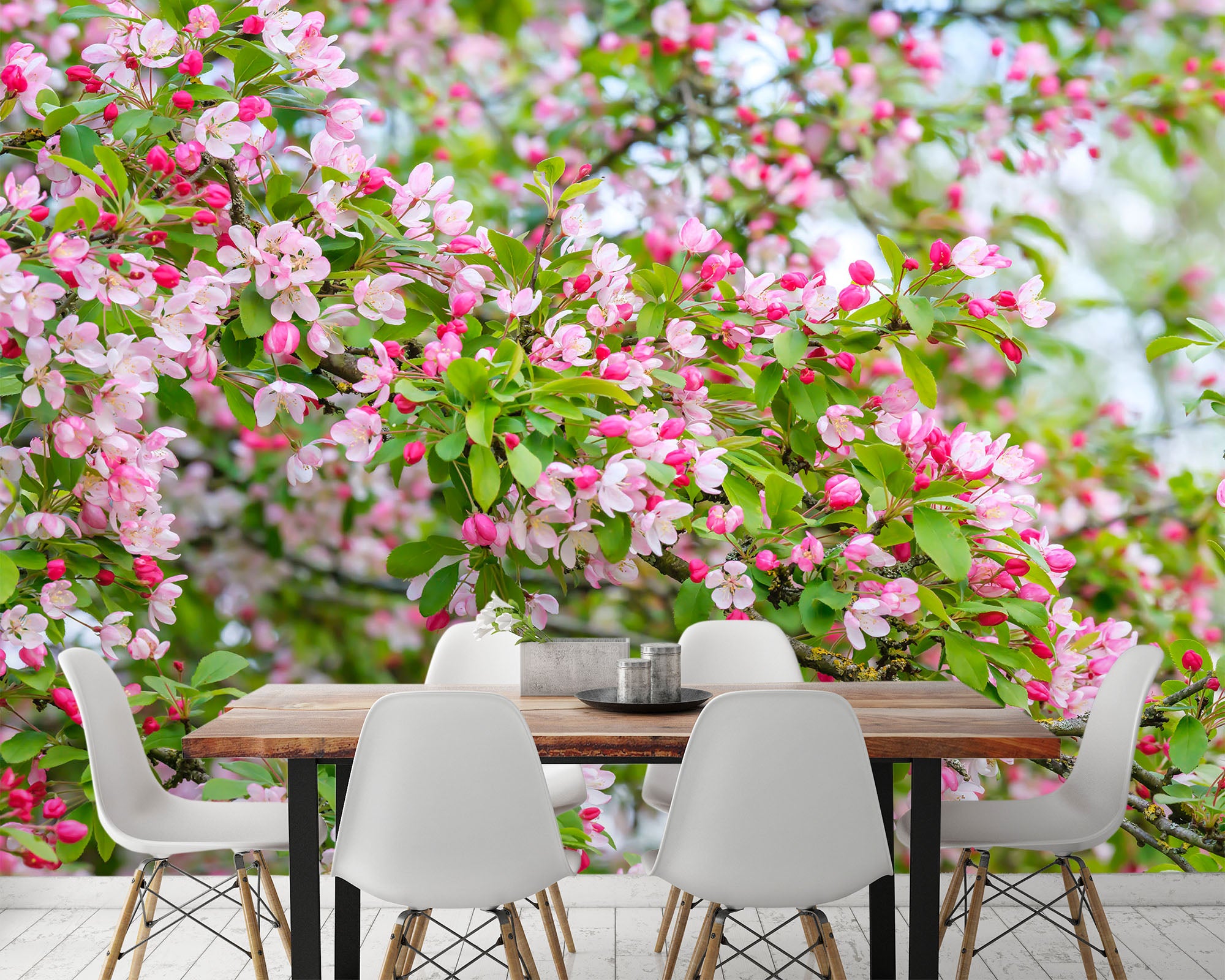 3D Spring Flowers 6169 Assaf Frank Wall Mural Wall Murals