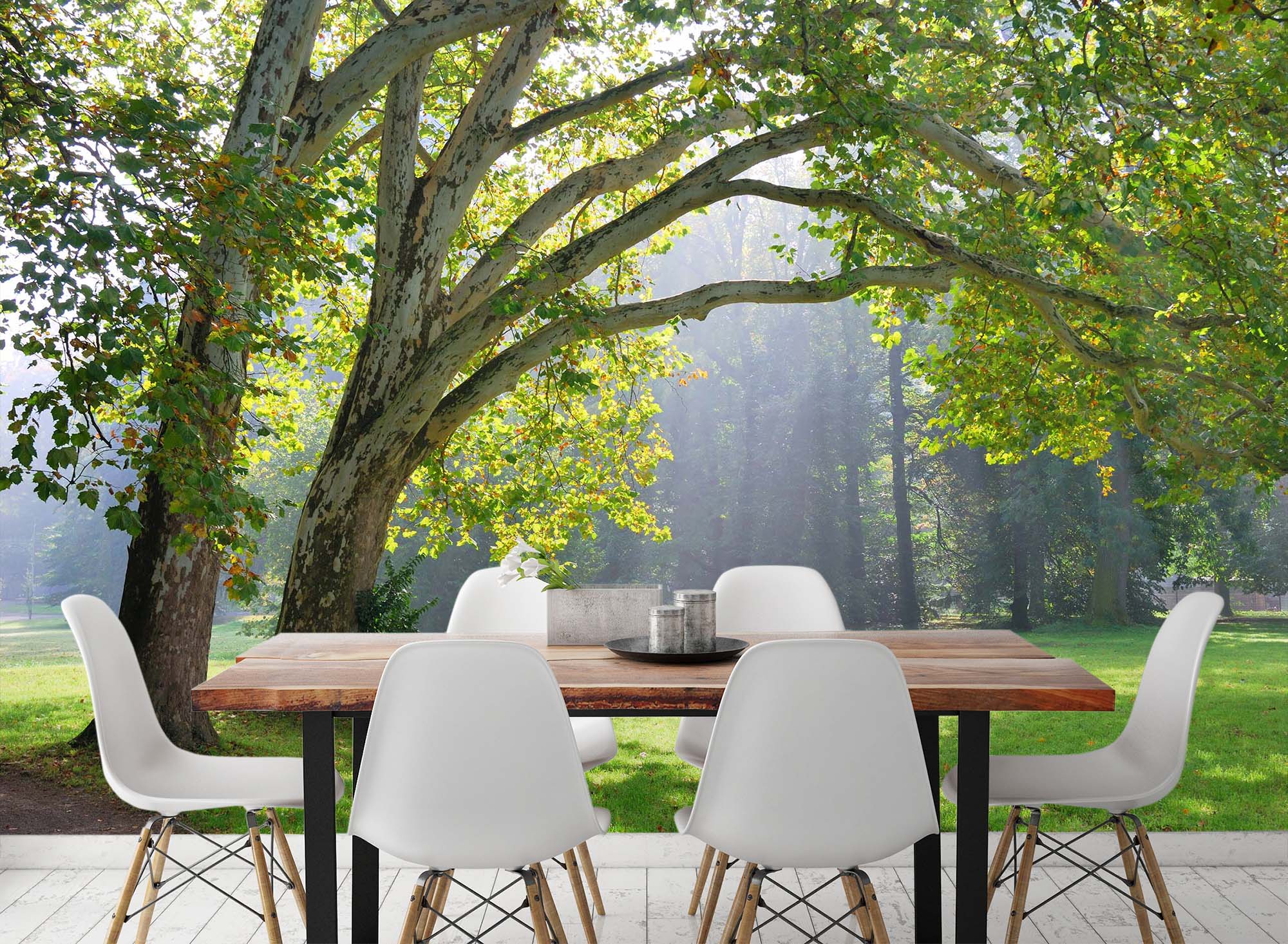 3D Park Tree 142 Wall Murals