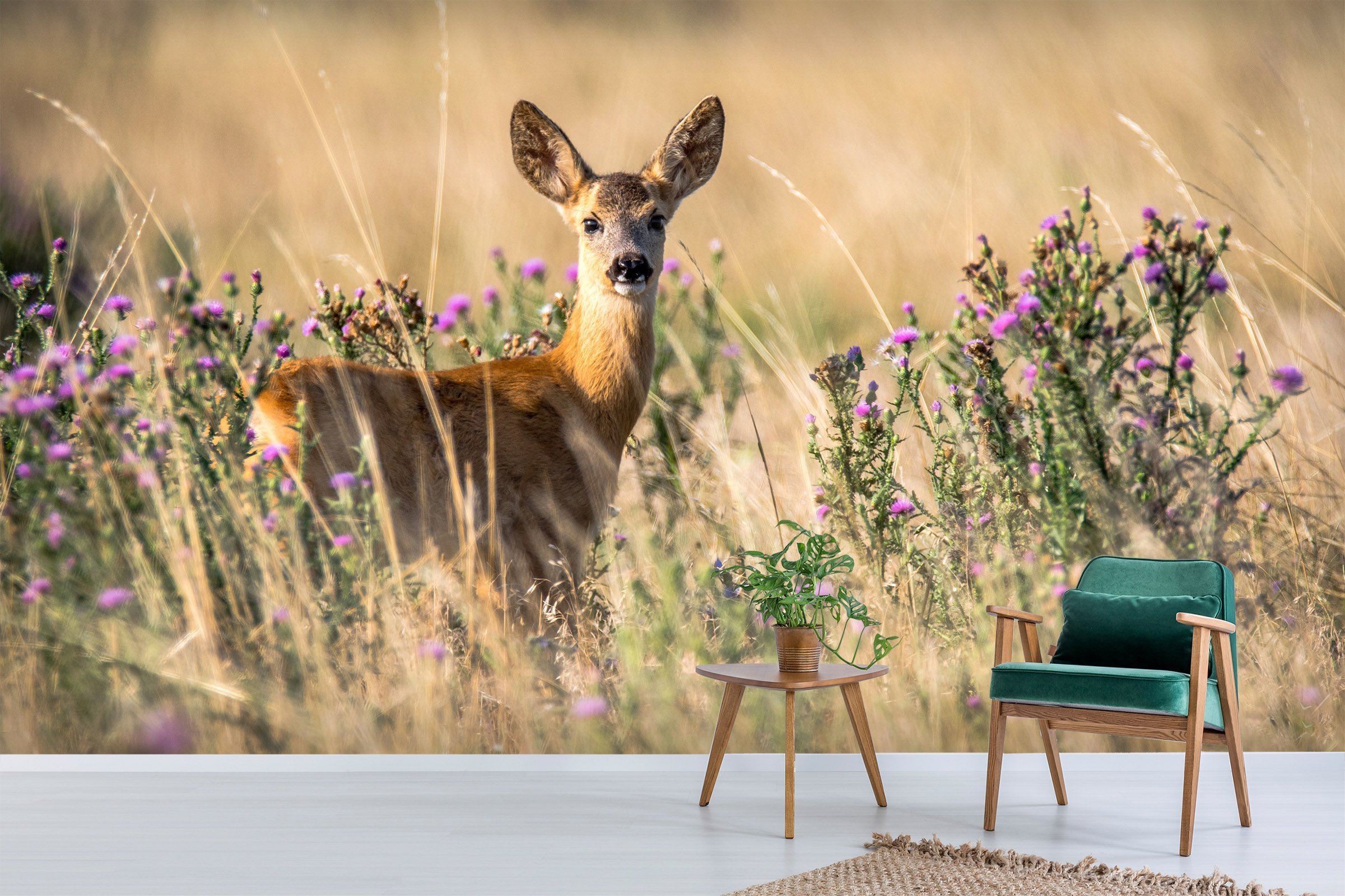 3D Antelope Face 225 Wallpaper AJ Wallpaper