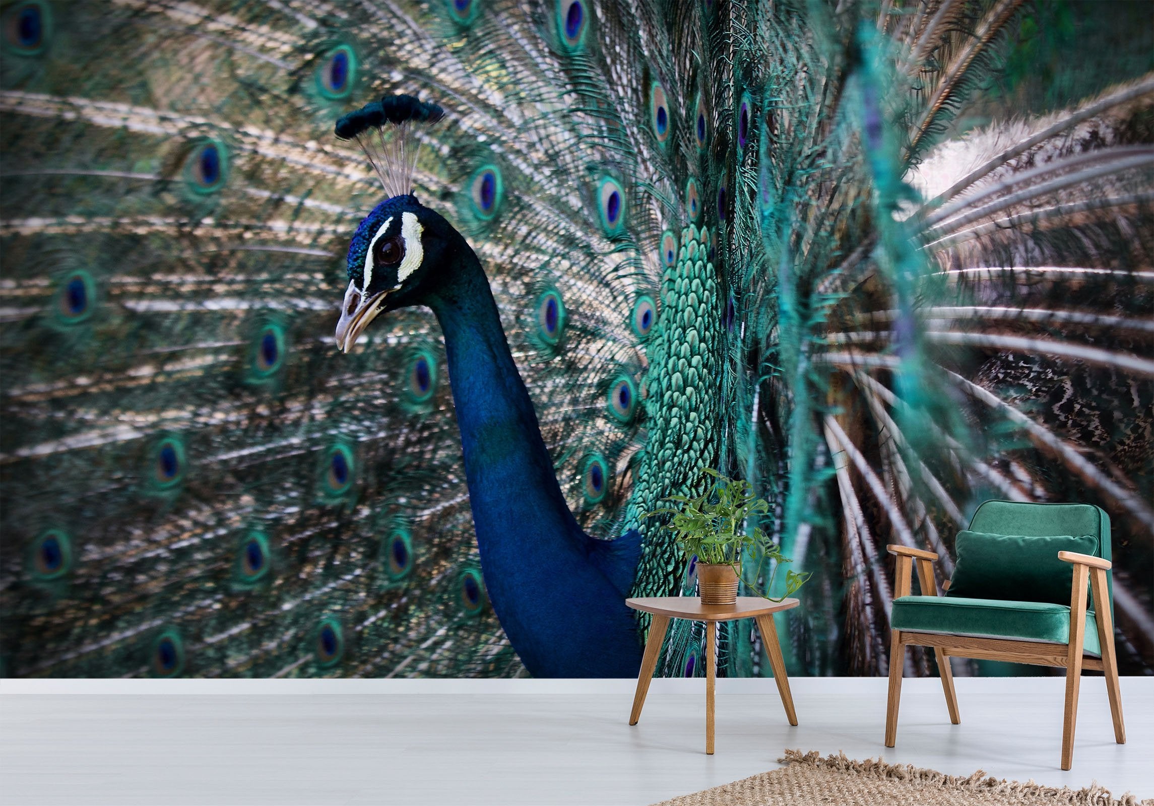 3D Peacock Side Face 219 Wallpaper AJ Wallpaper