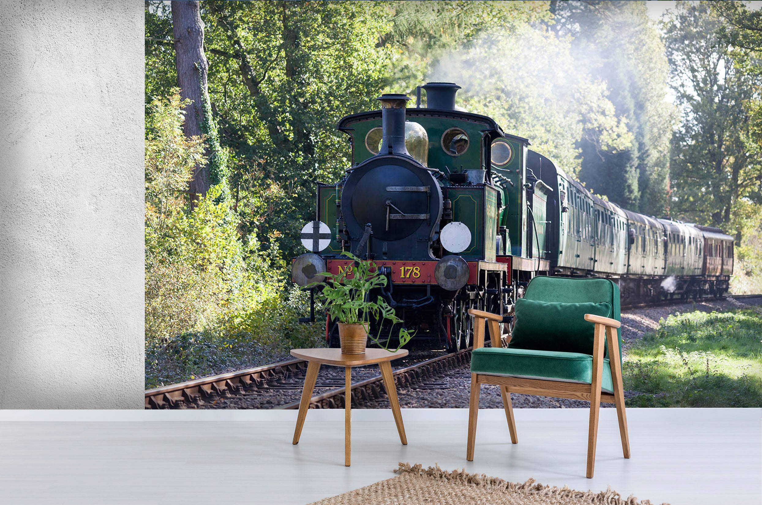 3D Woods Train Smoke 160 Vehicle Wall Murals