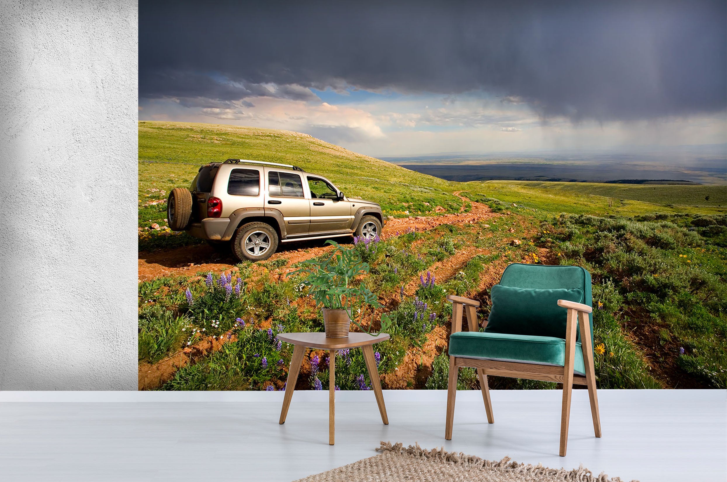 3D Car Cross Country 156 Vehicle Wall Murals