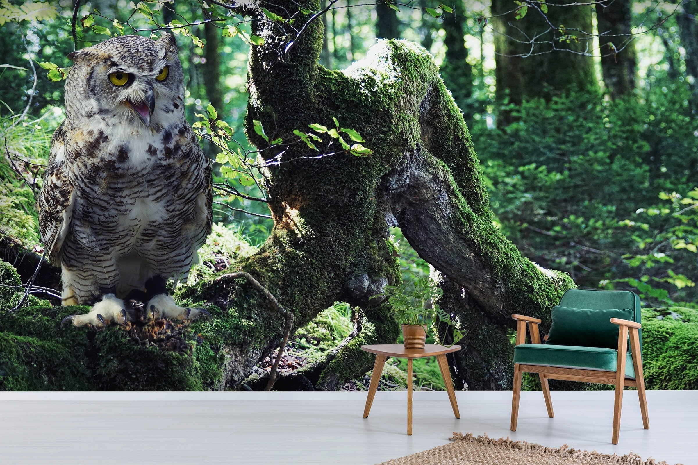3D Forest Owl 217 Wallpaper AJ Wallpaper