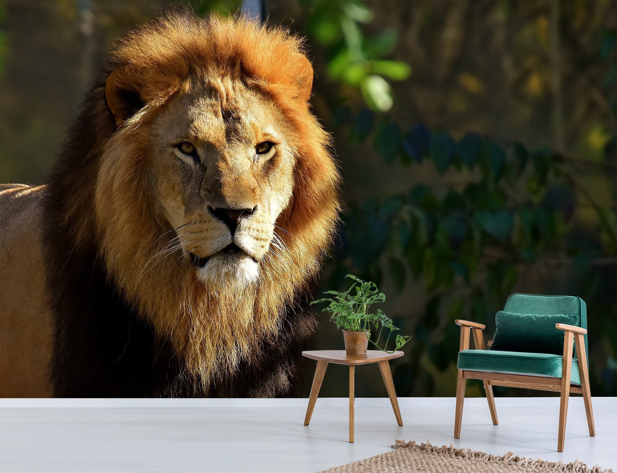 3D Lion In The Sun 212 Wallpaper AJ Wallpaper
