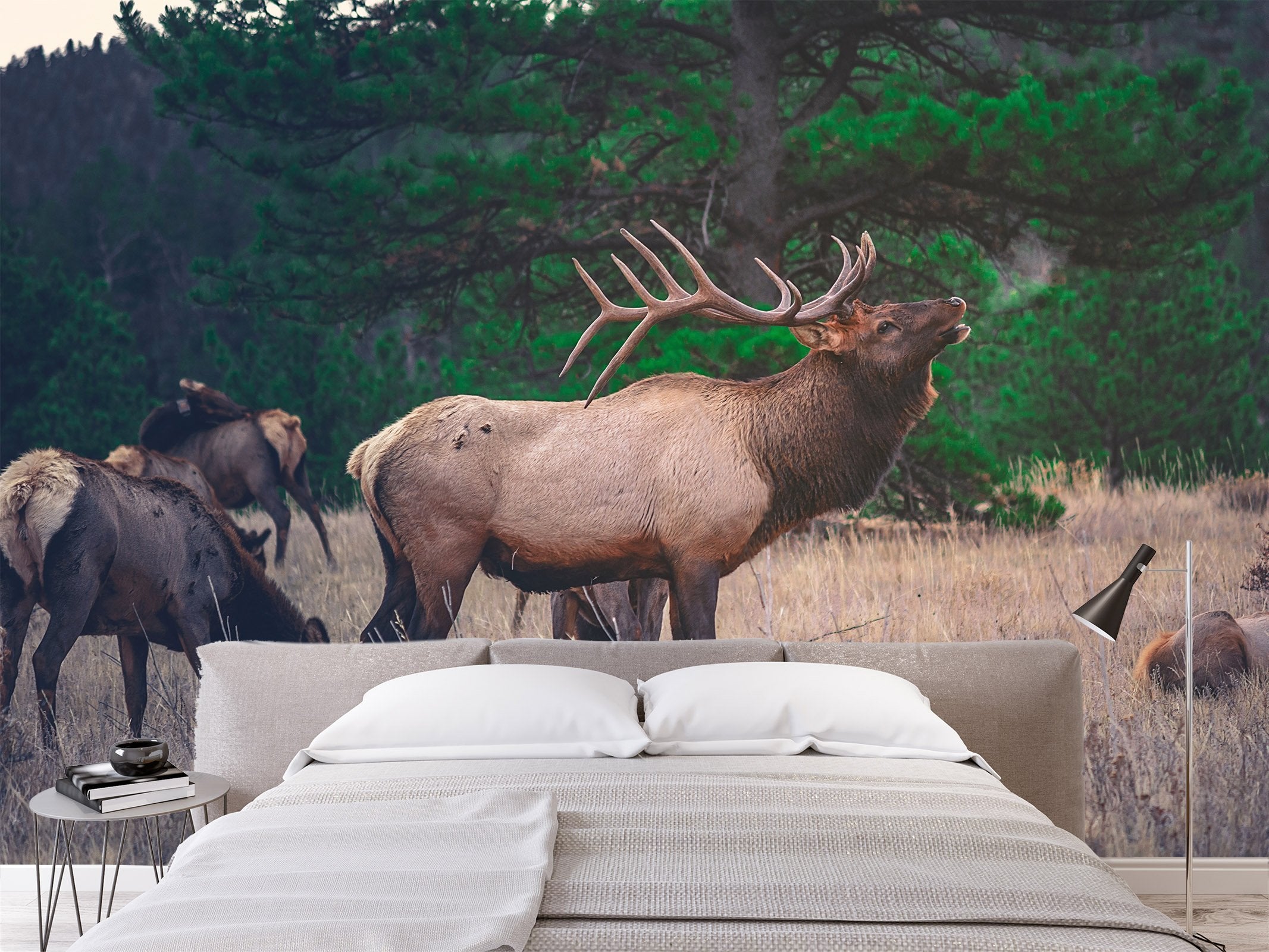 3D Forest Shofar 139 Wallpaper AJ Wallpaper