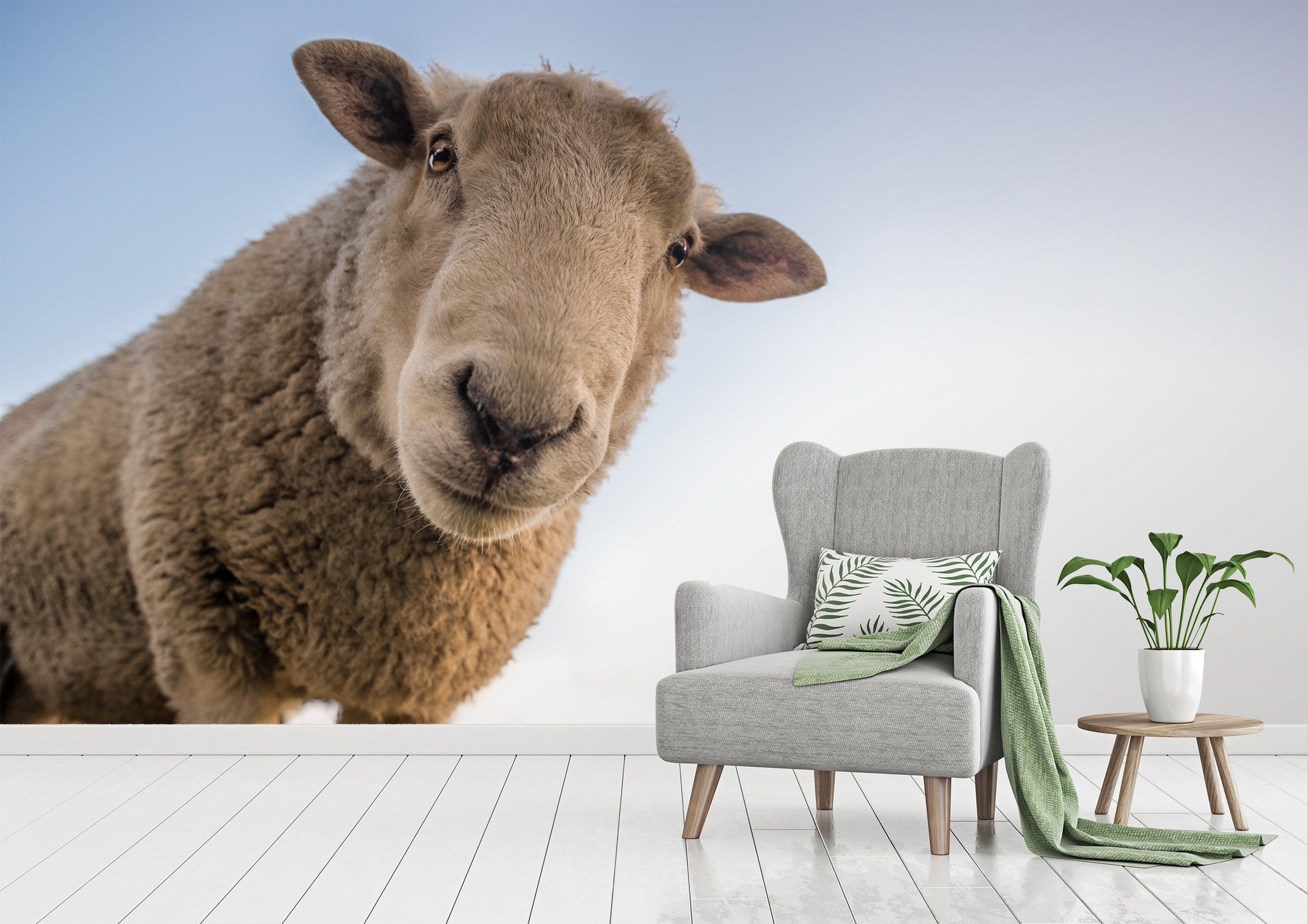 3D Sheep Head 229 Wallpaper AJ Wallpaper