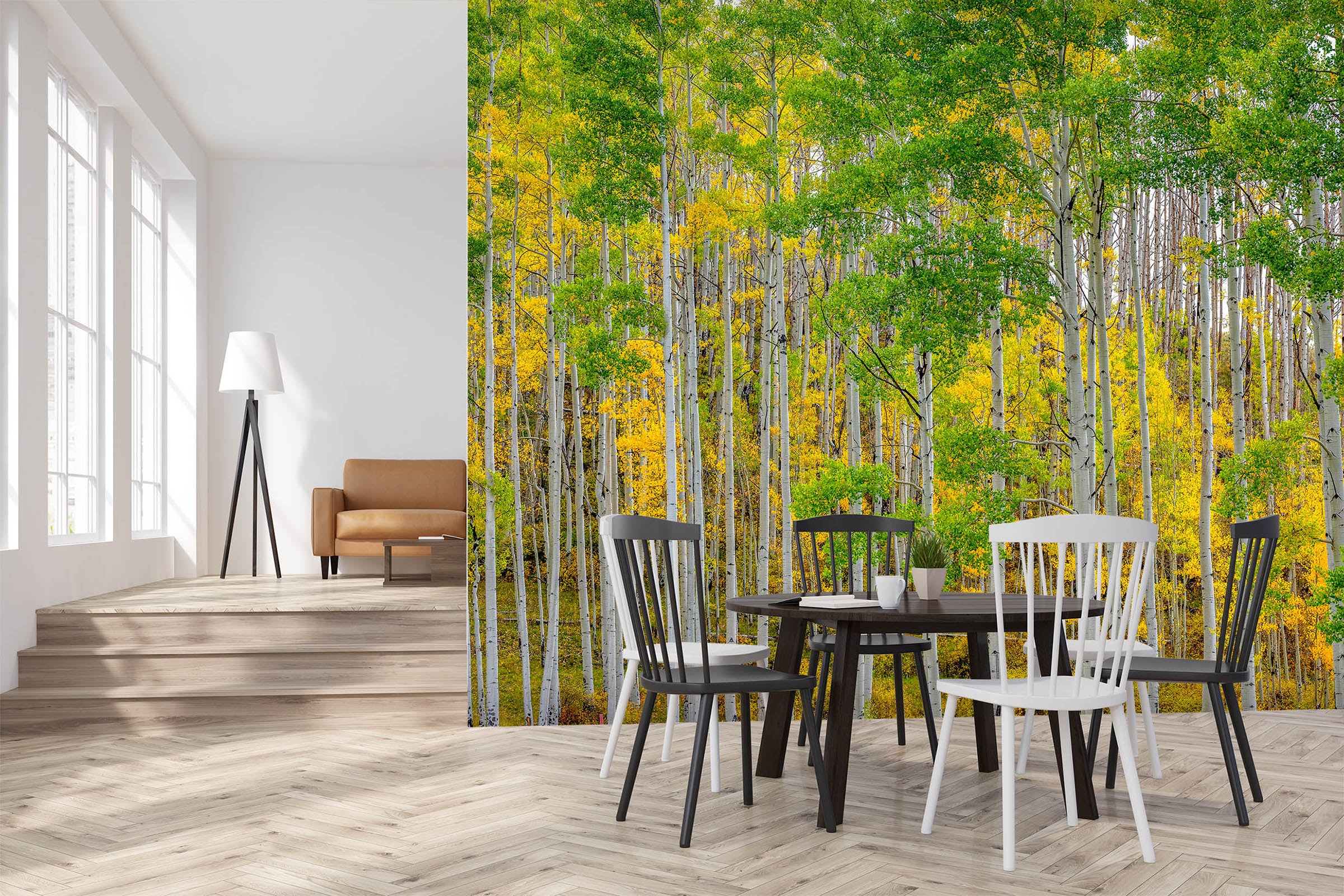 3D Autumn Forest 1436 Marco Carmassi Wall Mural Wall Murals