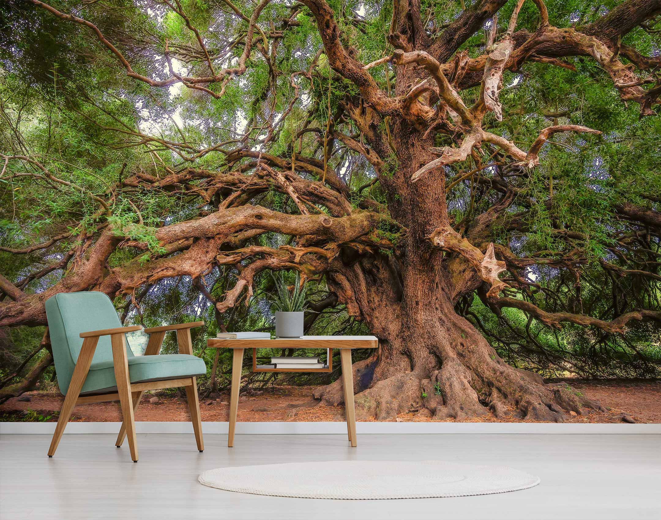 3D Big Old Tree 10878 Alius Herb Wall Mural Wall Murals