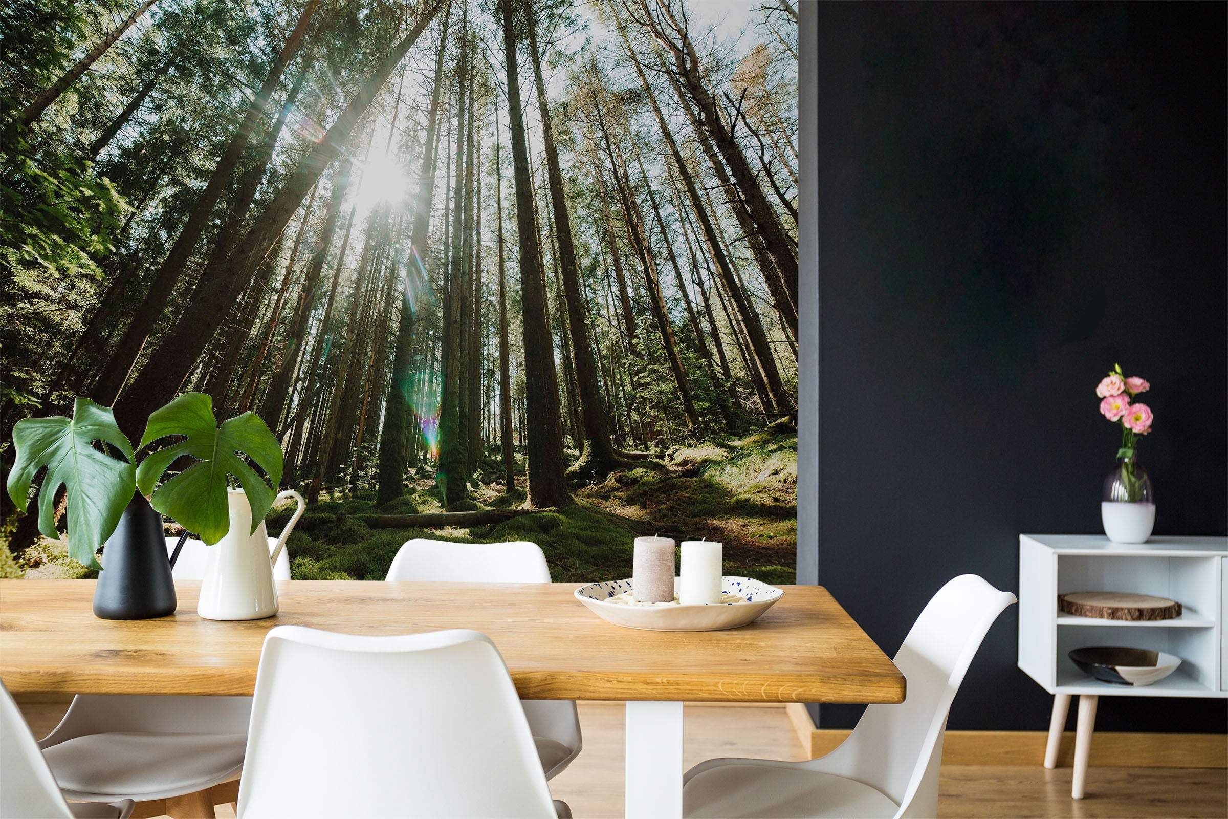 3D Sunshine Forest 80 Wall Murals