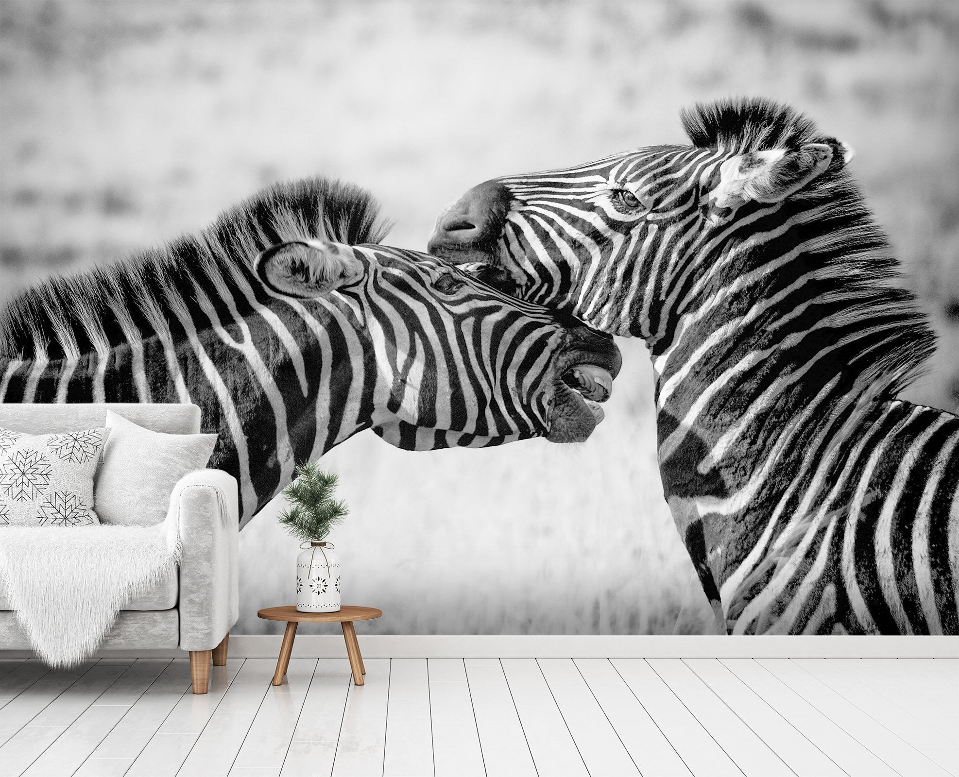 3D Playful Zebra 251 Wallpaper AJ Wallpaper