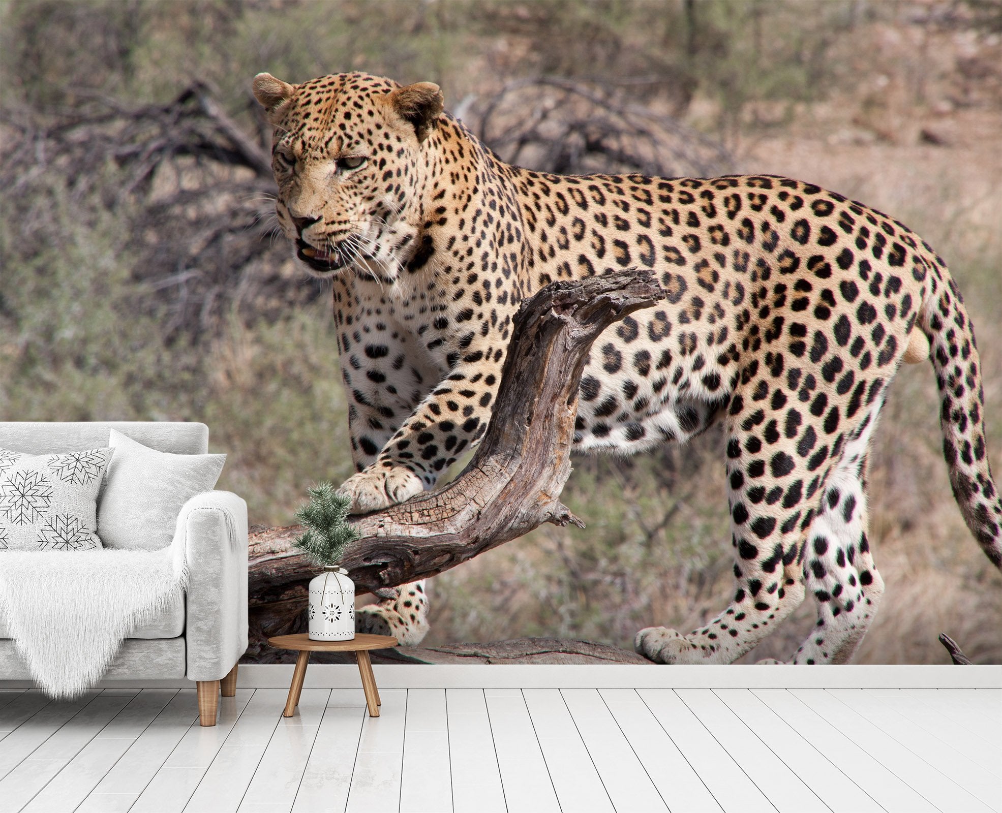 3D Playful Leopard 231 Wallpaper AJ Wallpaper