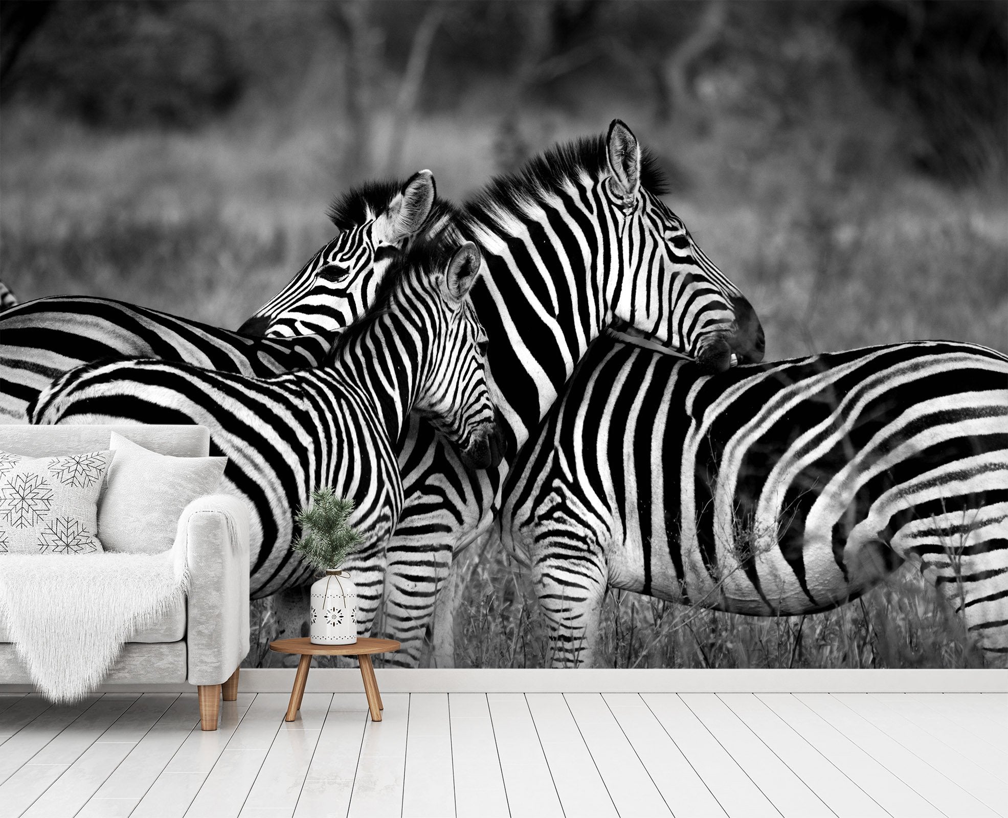 3D Zebra Back 250 Wallpaper AJ Wallpaper