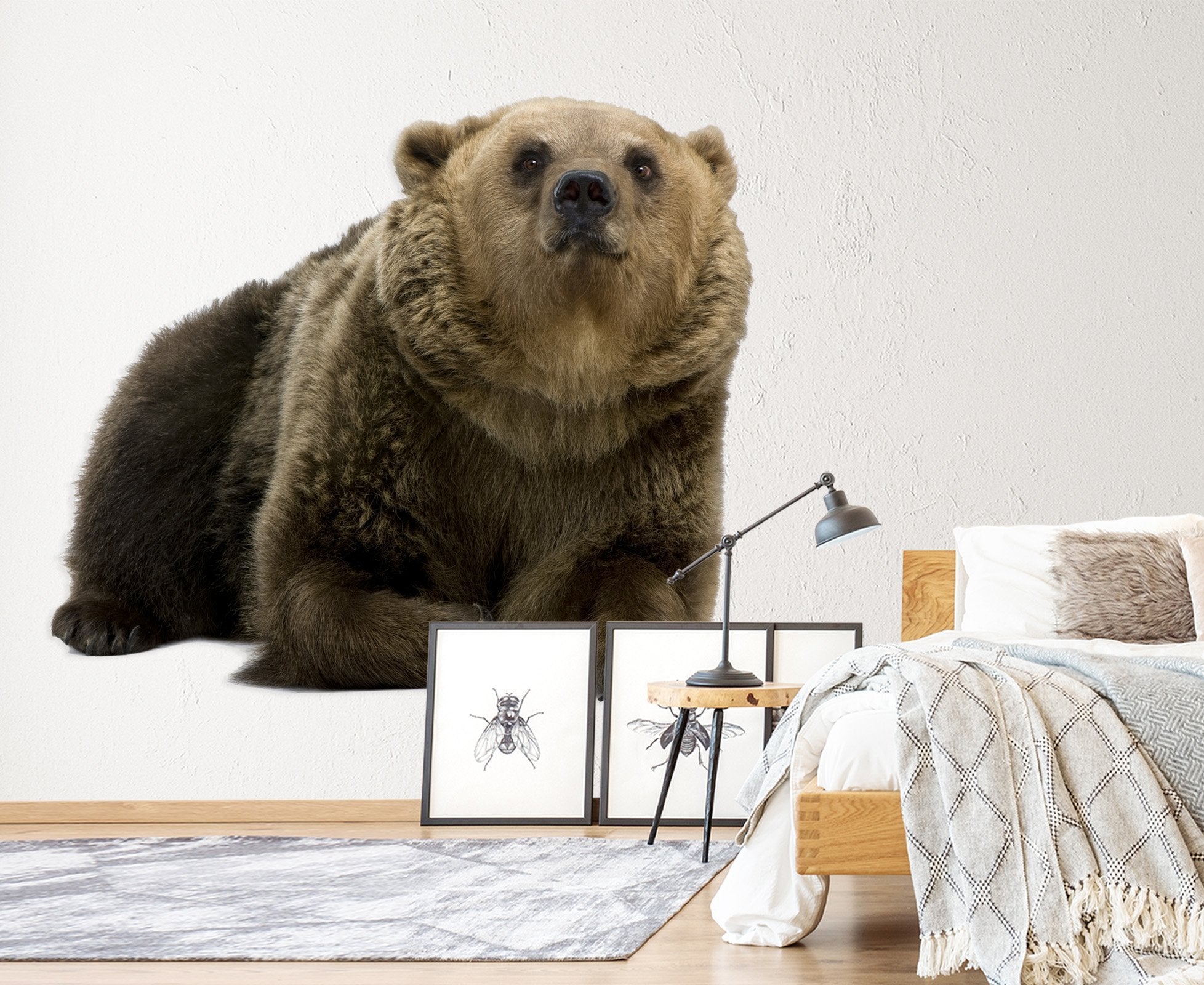 3D Kneeling Bear 172 Animals Wall Stickers Wallpaper AJ Wallpaper