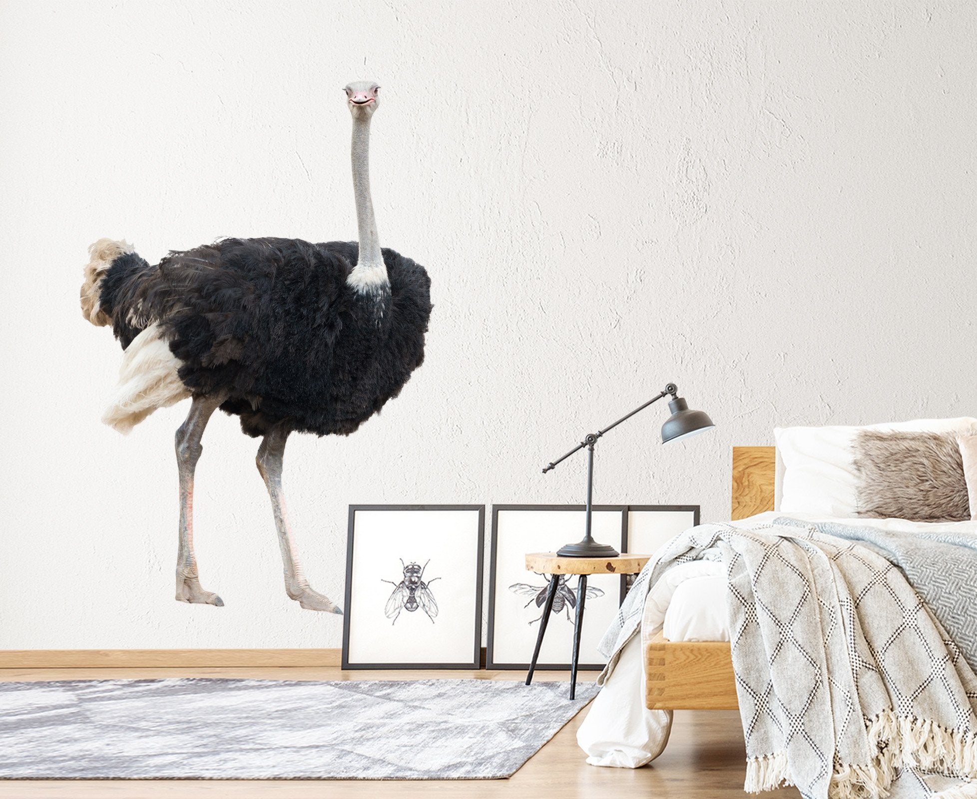 3D Ostrich 200 Animals Wall Stickers Wallpaper AJ Wallpaper