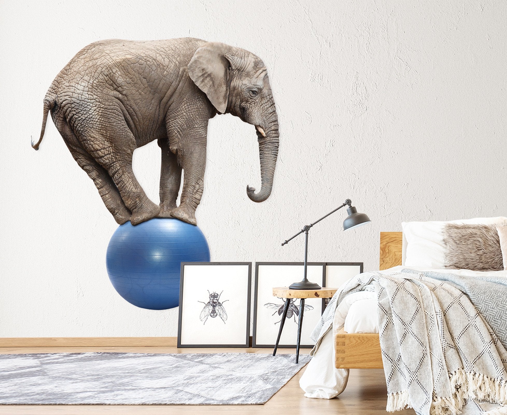 3D Elephant Playing With A Ball 177 Animals Wall Stickers Wallpaper AJ Wallpaper