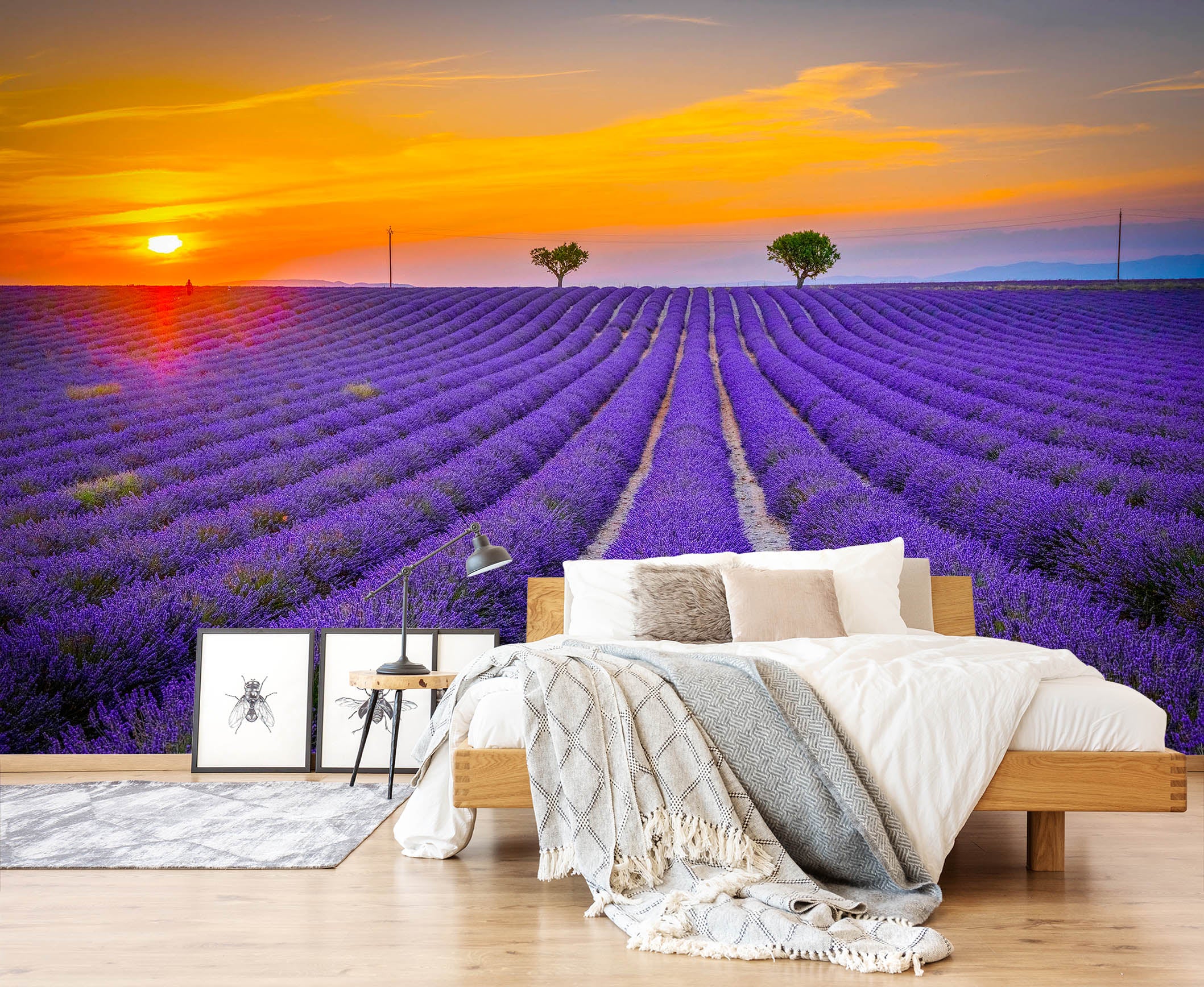 3D Purple Lavender 1450 Marco Carmassi Wall Mural Wall Murals