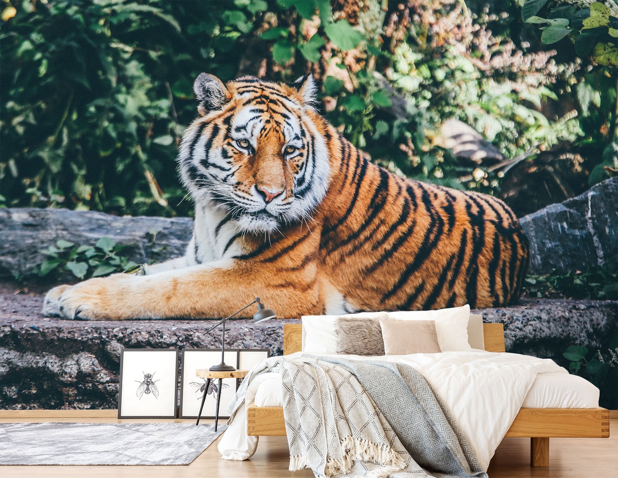 3D Forest Tiger 581 Wallpaper AJ Wallpaper