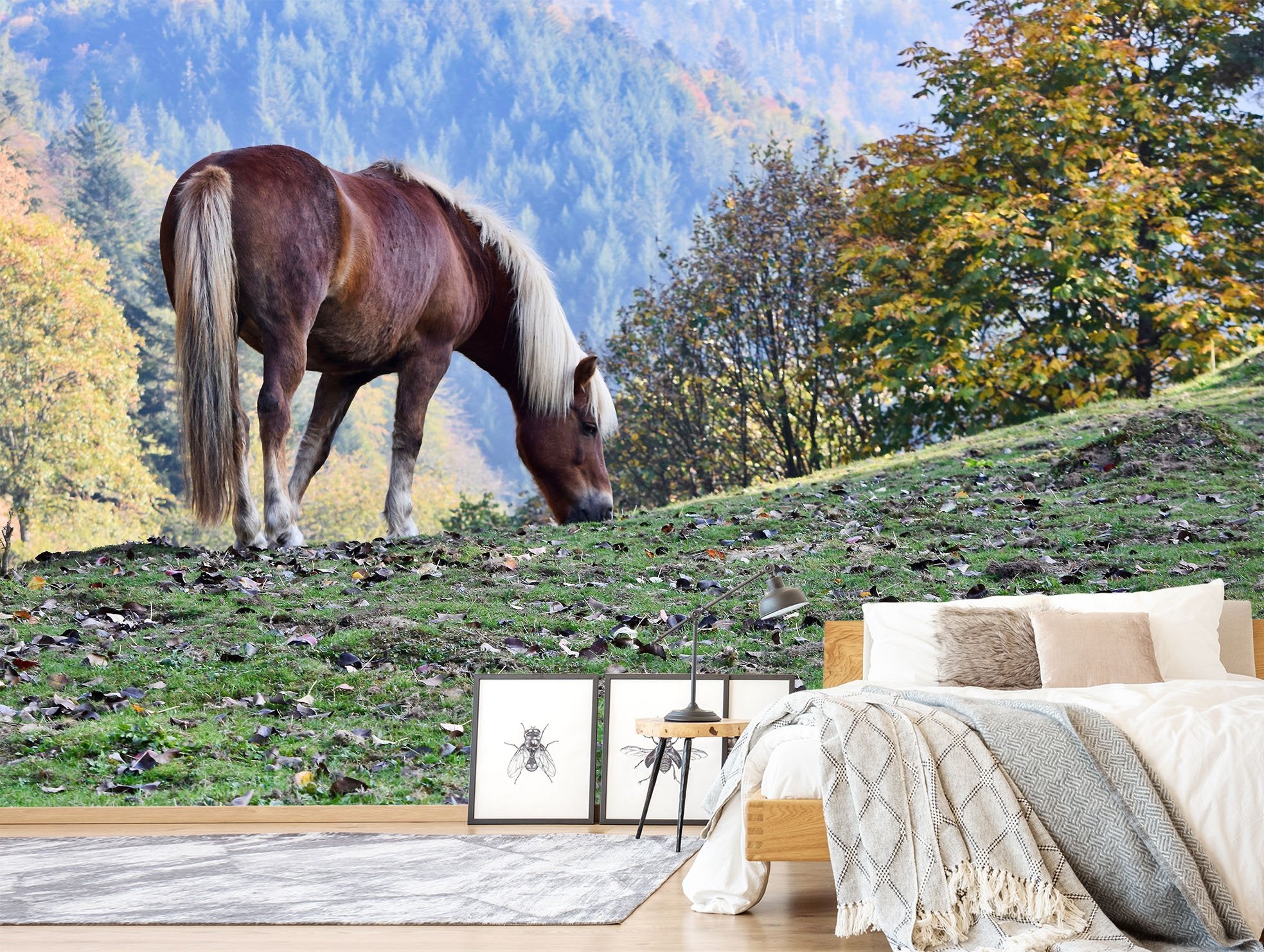 3D Horse Grass 662 Wallpaper AJ Wallpaper