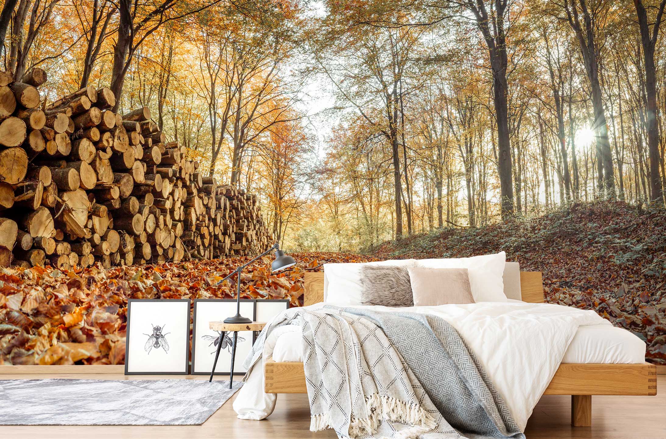 3D Forest Wood 6275 Assaf Frank Wall Mural Wall Murals