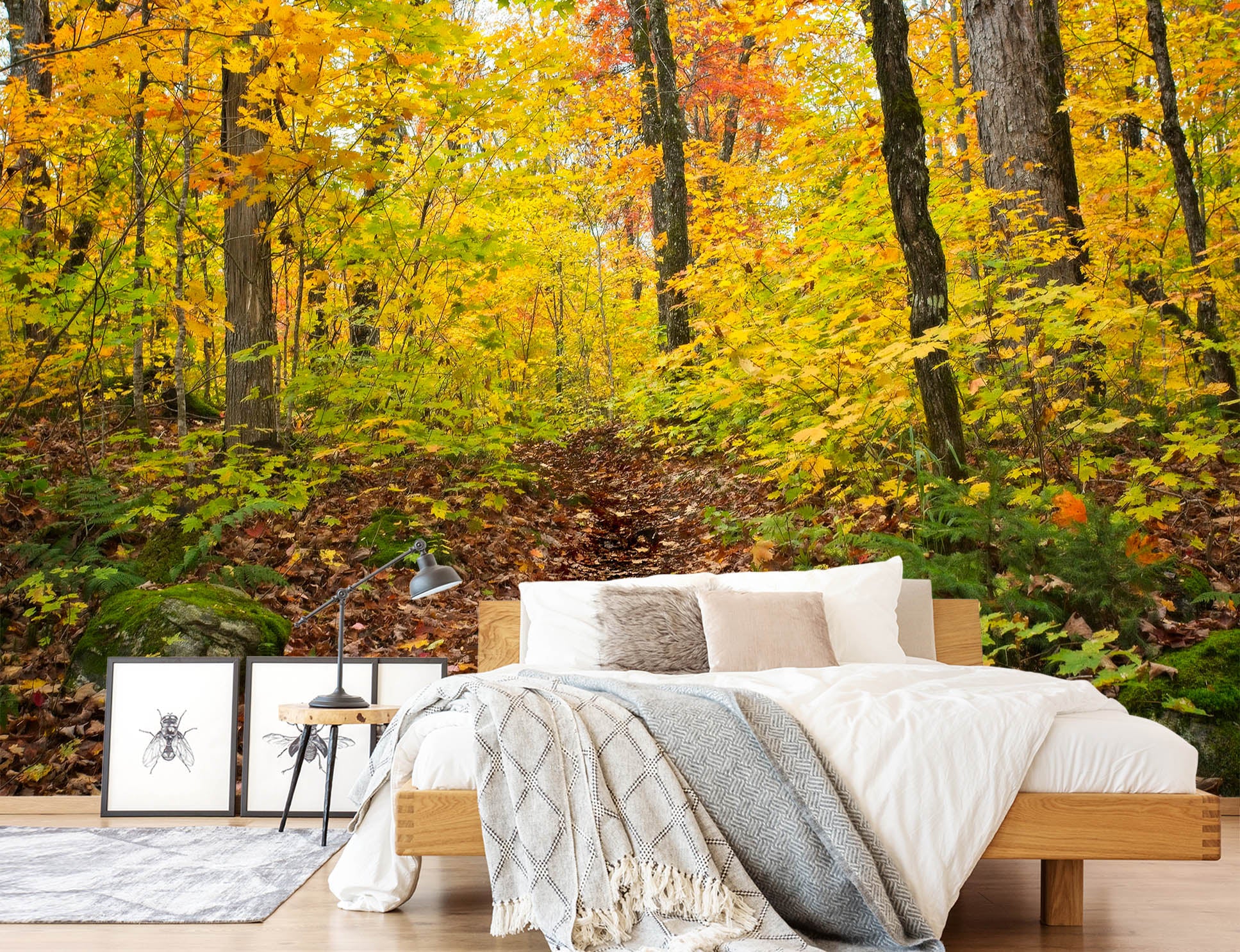 3D Forest 62068 Kathy Barefield Wall Mural Wall Murals