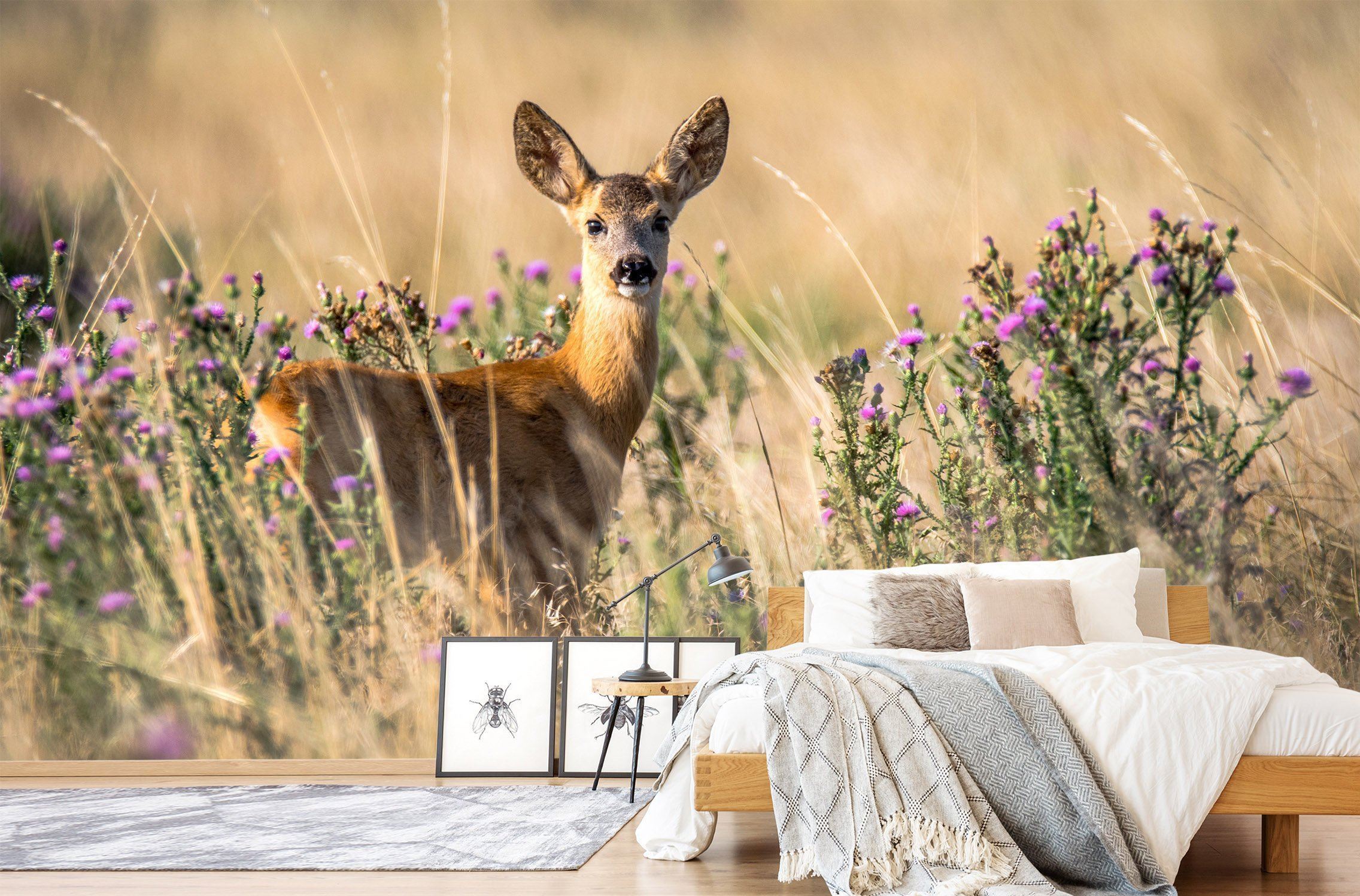 3D Antelope Face 225 Wallpaper AJ Wallpaper