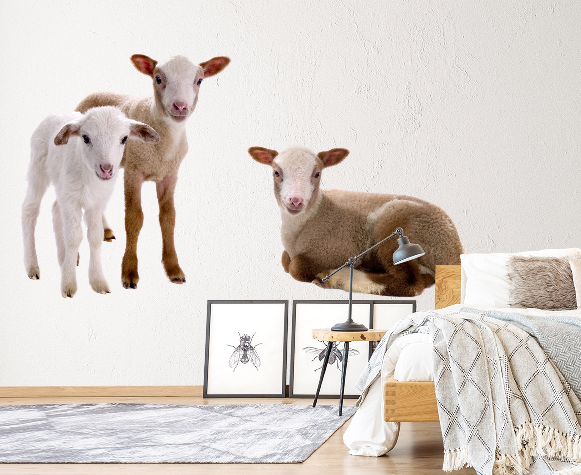 3D Sheep Baby 122 Animals Wall Stickers Wallpaper AJ Wallpaper