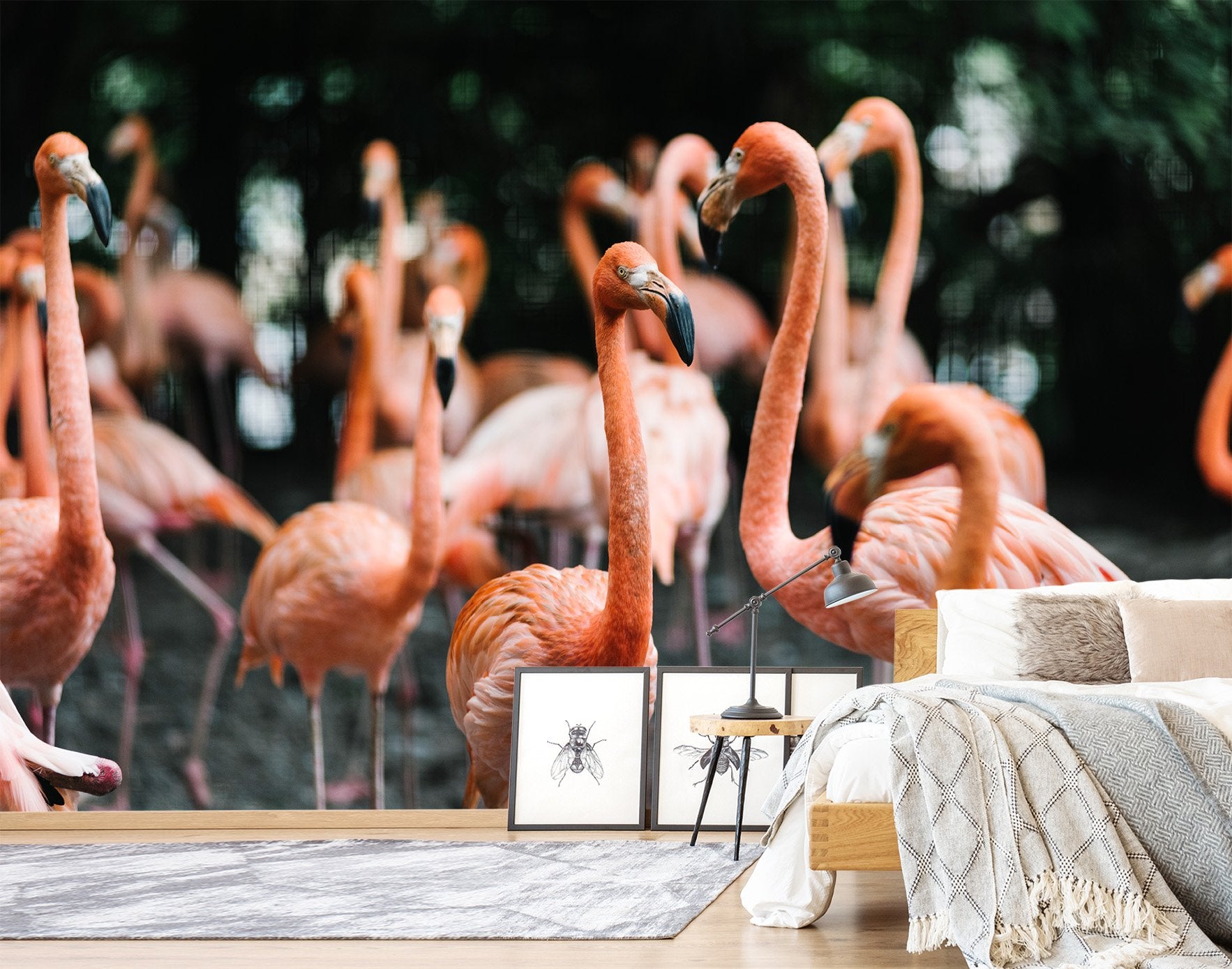 3D Flamingo woods 658 Wallpaper AJ Wallpaper