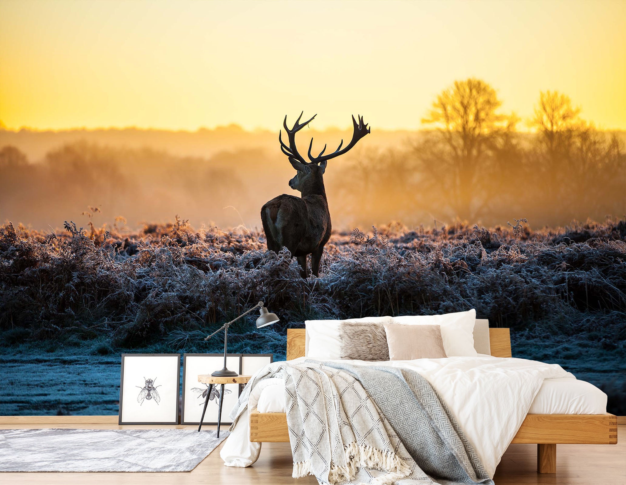 3D Elk Dusk Grassland 057 Wall Murals